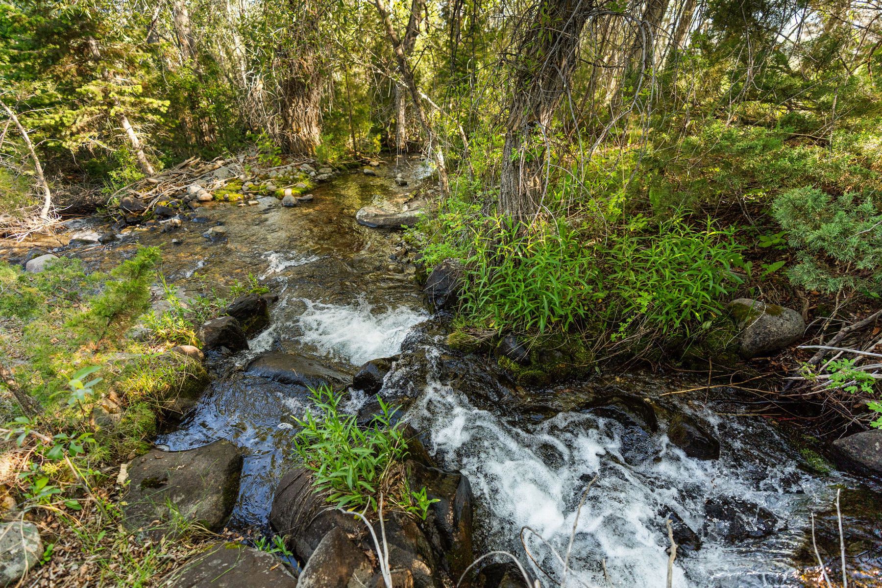  1580 Evan Reese Creek Rd - 物件實景