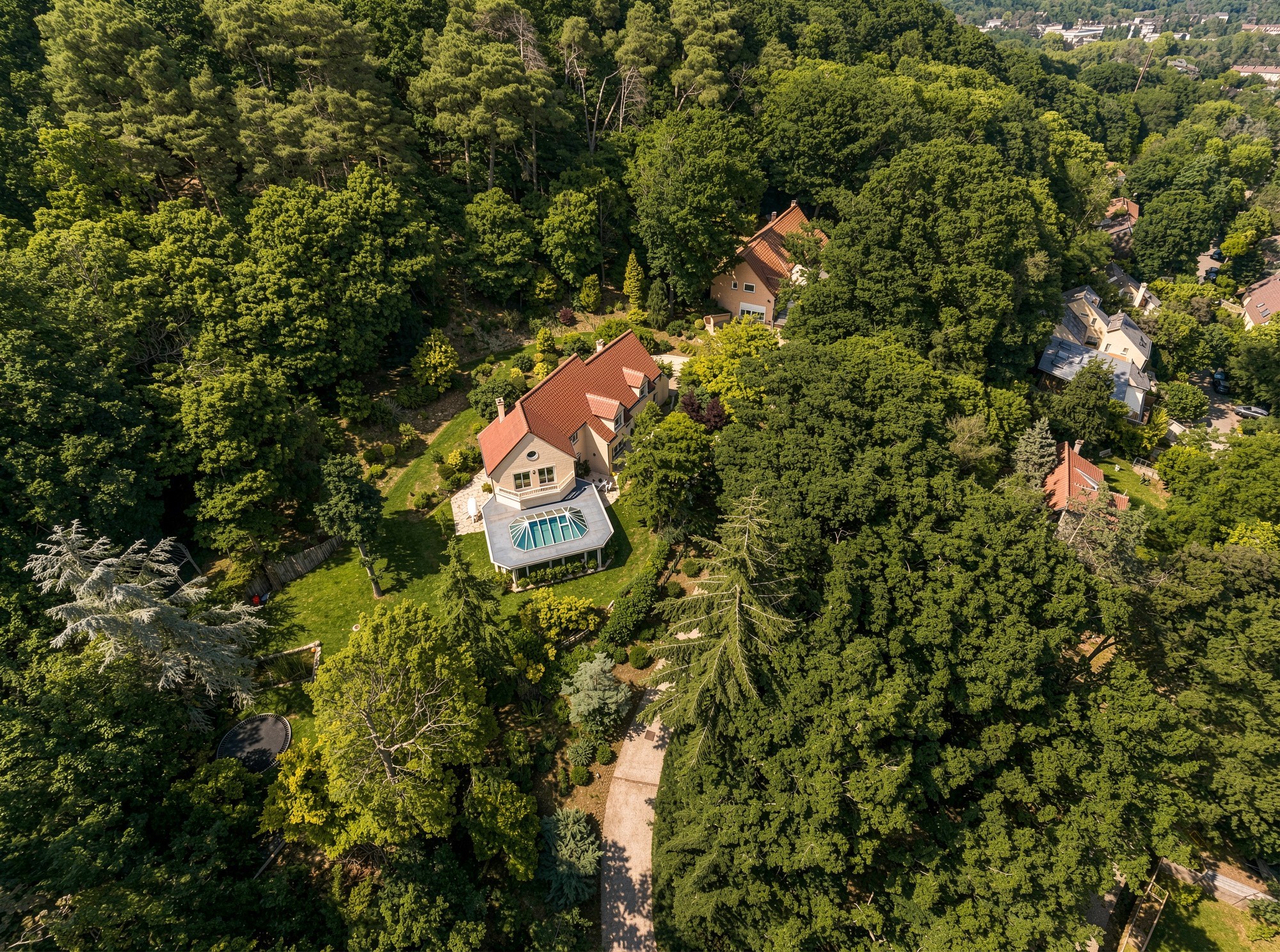  Private family estate in the chevreuse valley - 物件實景
