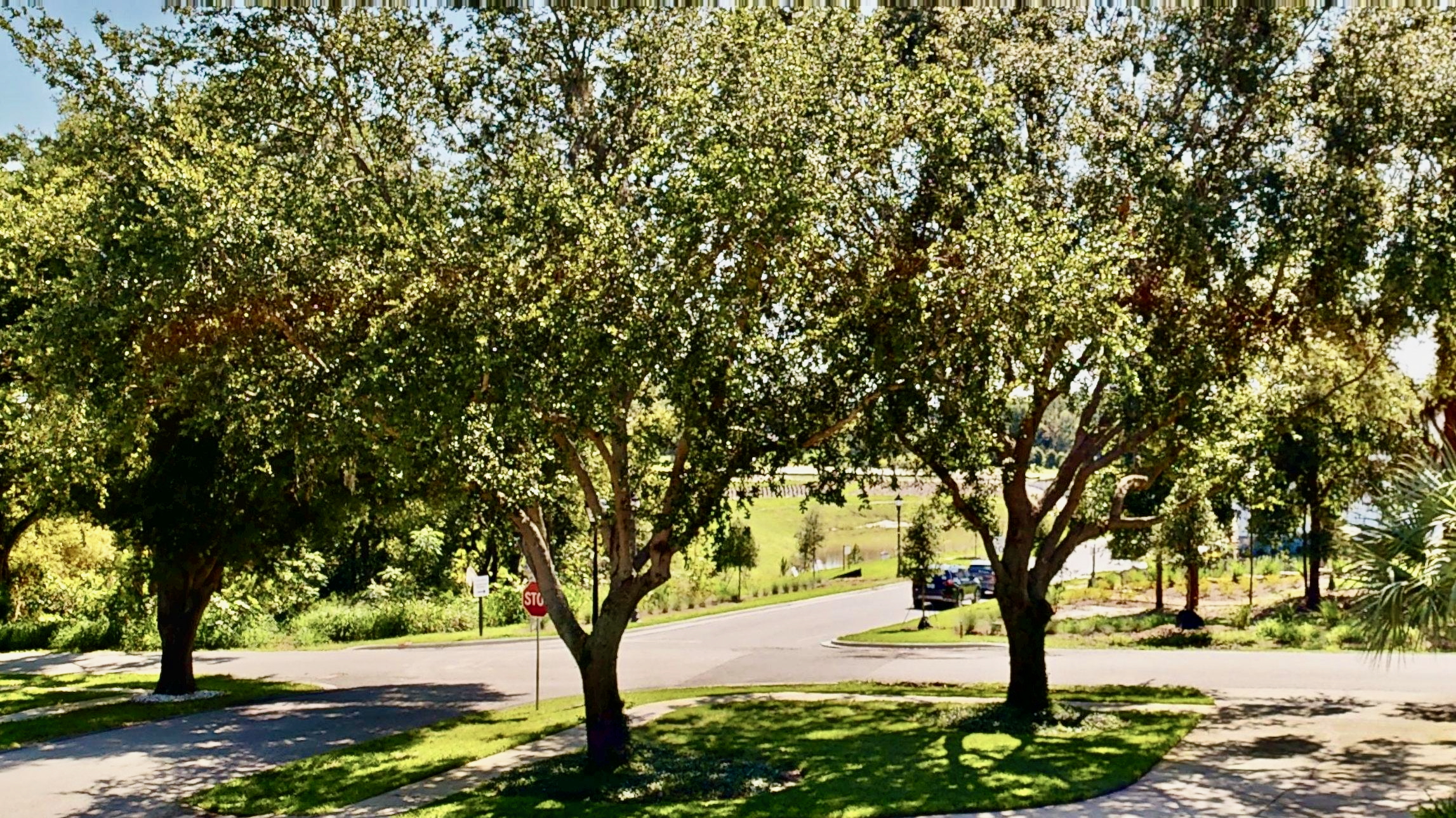 Oakland, Florida, 34760, United States, 4 Bedrooms Bedrooms, ,3 BathroomsBathrooms,Residential,For Sale,1828727