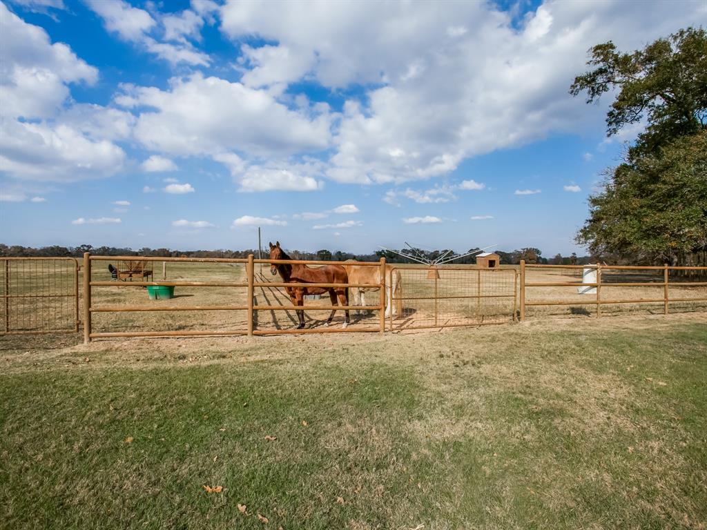 1370 Vzcr 4907, Ben Wheeler, Texas, 75754, United States, 11 Bedrooms Bedrooms, ,14 BathroomsBathrooms,Land,For Sale,1370 Vzcr 4907,1663895