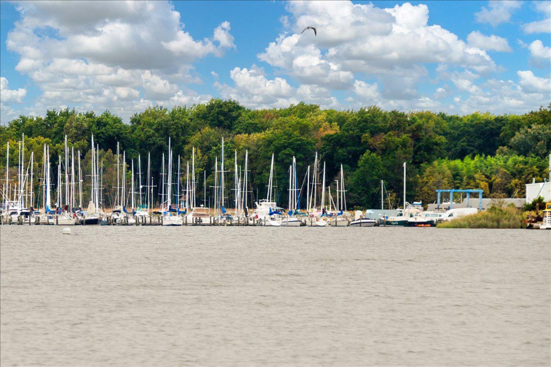  1117 Wilson Drive, Edgewater, MD, 21037 - 物件實景