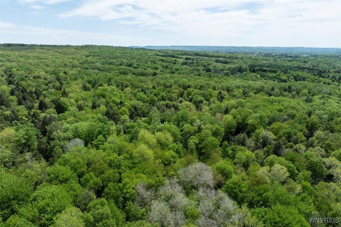 Concord, New York, 14141, United States, 3 Bedrooms Bedrooms, ,3 BathroomsBathrooms,Residential,For Sale,1823281