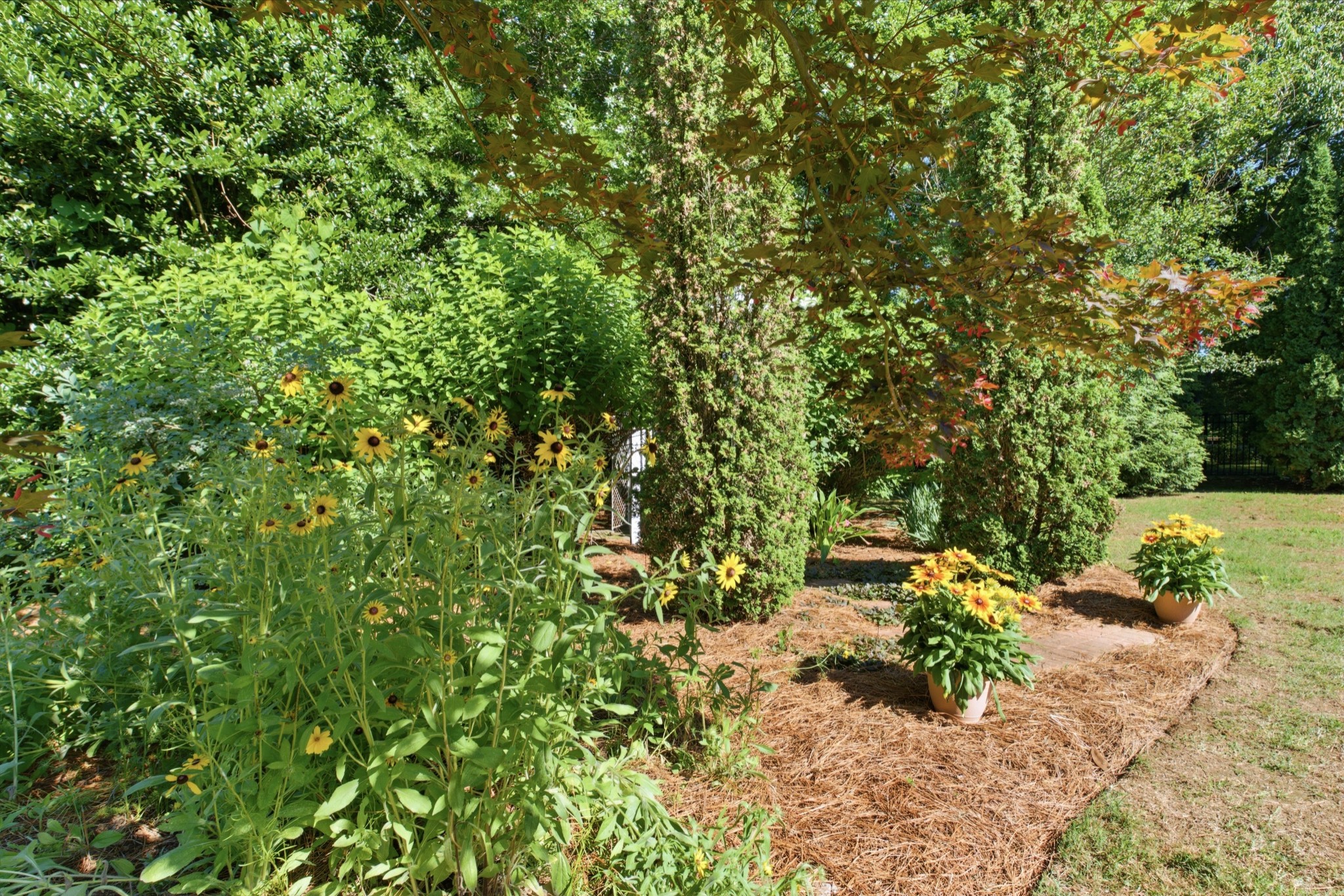  2240 Oakleaf Dr, Franklin, TN, 37064 - 物件實景