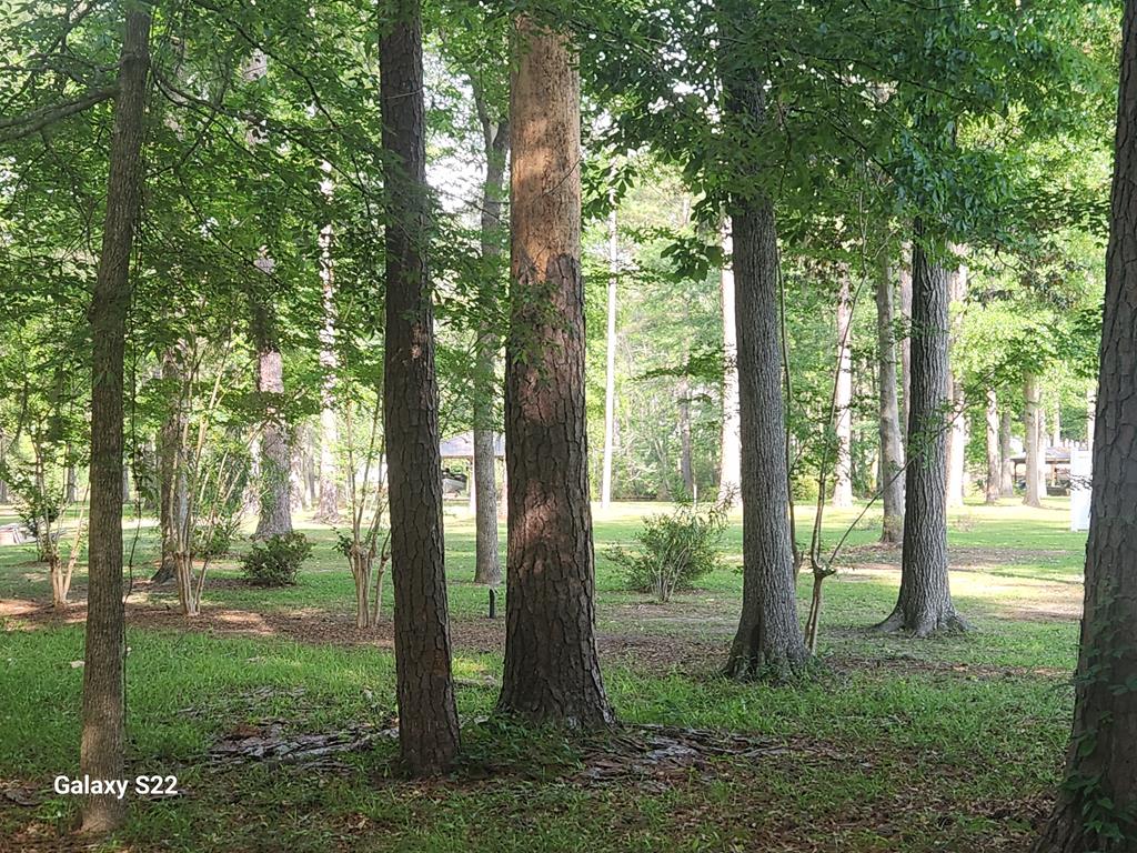 Cordele, Georgia, 31015, United States, 3 Bedrooms Bedrooms, ,3 BathroomsBathrooms,Residential,For Sale,1931643