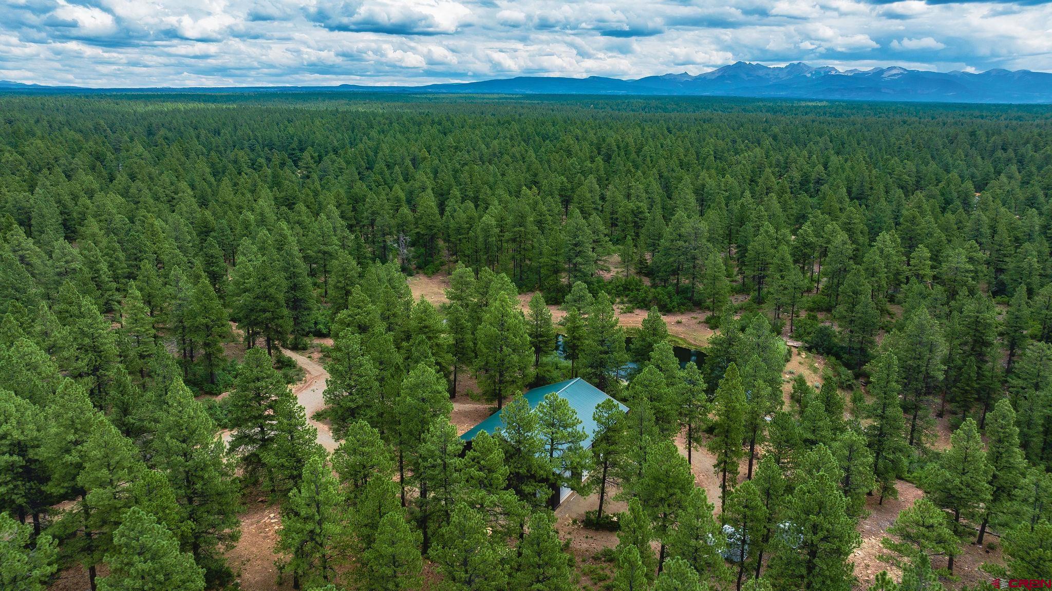 Mancos, Colorado, 81328, United States, 3 Bedrooms Bedrooms, ,4 BathroomsBathrooms,Residential,For Sale,1938340