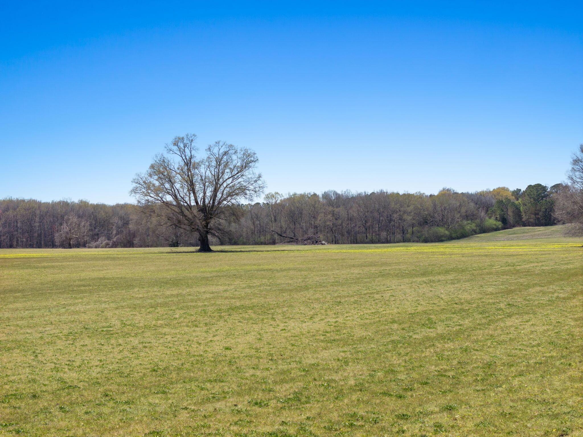 Guntown, Mississippi, 38849, United States, 4 Bedrooms Bedrooms, ,3 BathroomsBathrooms,Residential,For Sale,1947113