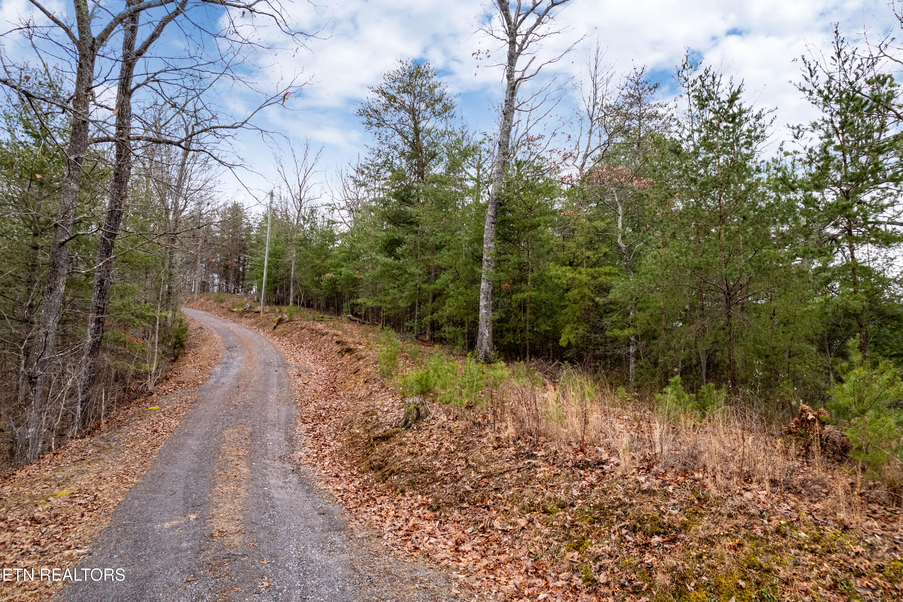 Townsend, Tennessee, 37882, United States, 3 Bedrooms Bedrooms, ,3 BathroomsBathrooms,Residential,For Sale,1982274