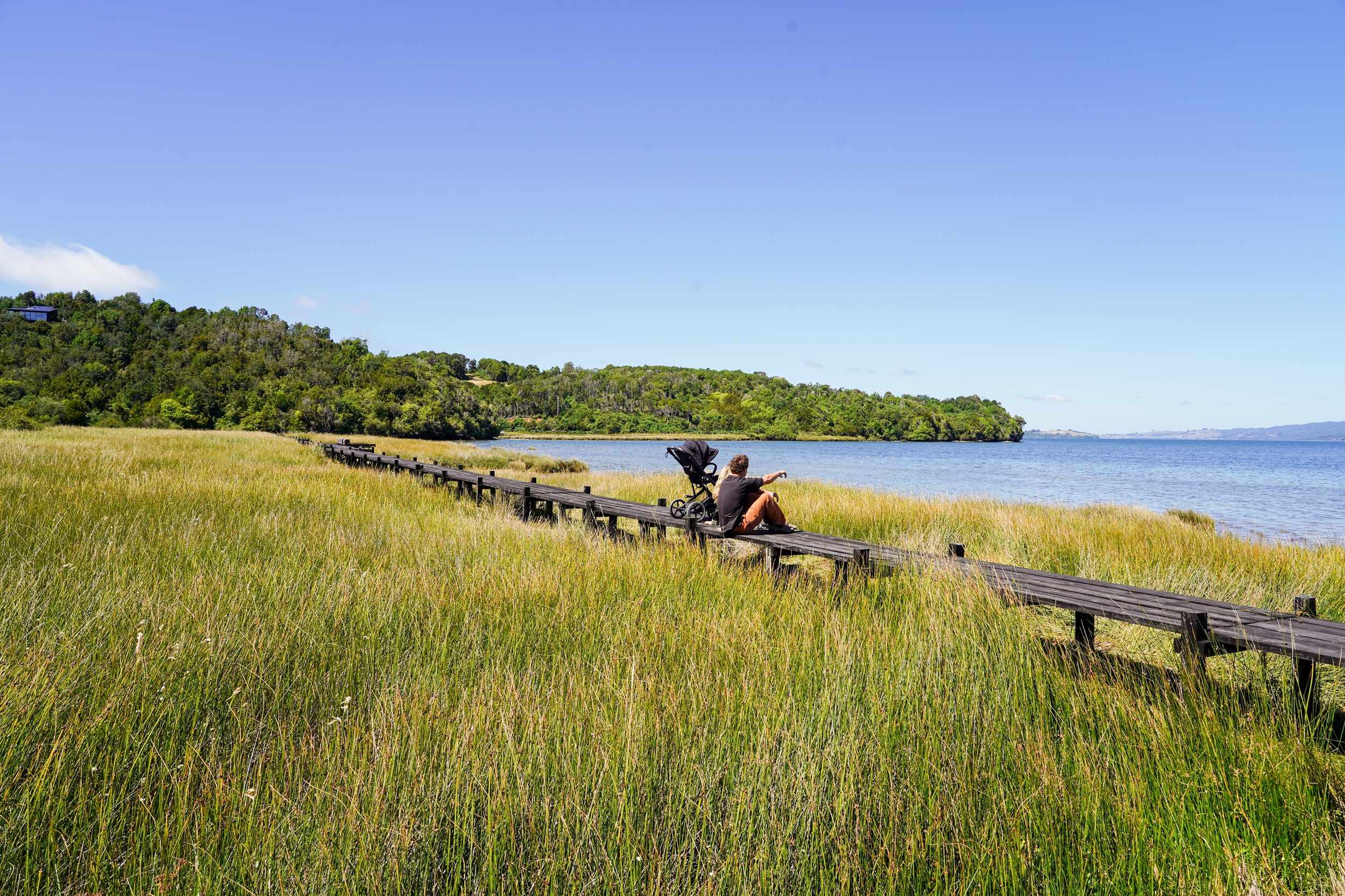  12.2-Hectare Oceanfront Property in Chiloé - 物件實景
