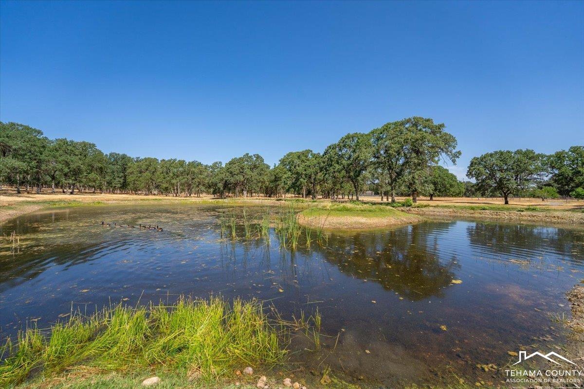 Red Bluff, California, 96080, United States, 3 Bedrooms Bedrooms, ,2 BathroomsBathrooms,Residential,For Sale,1911945