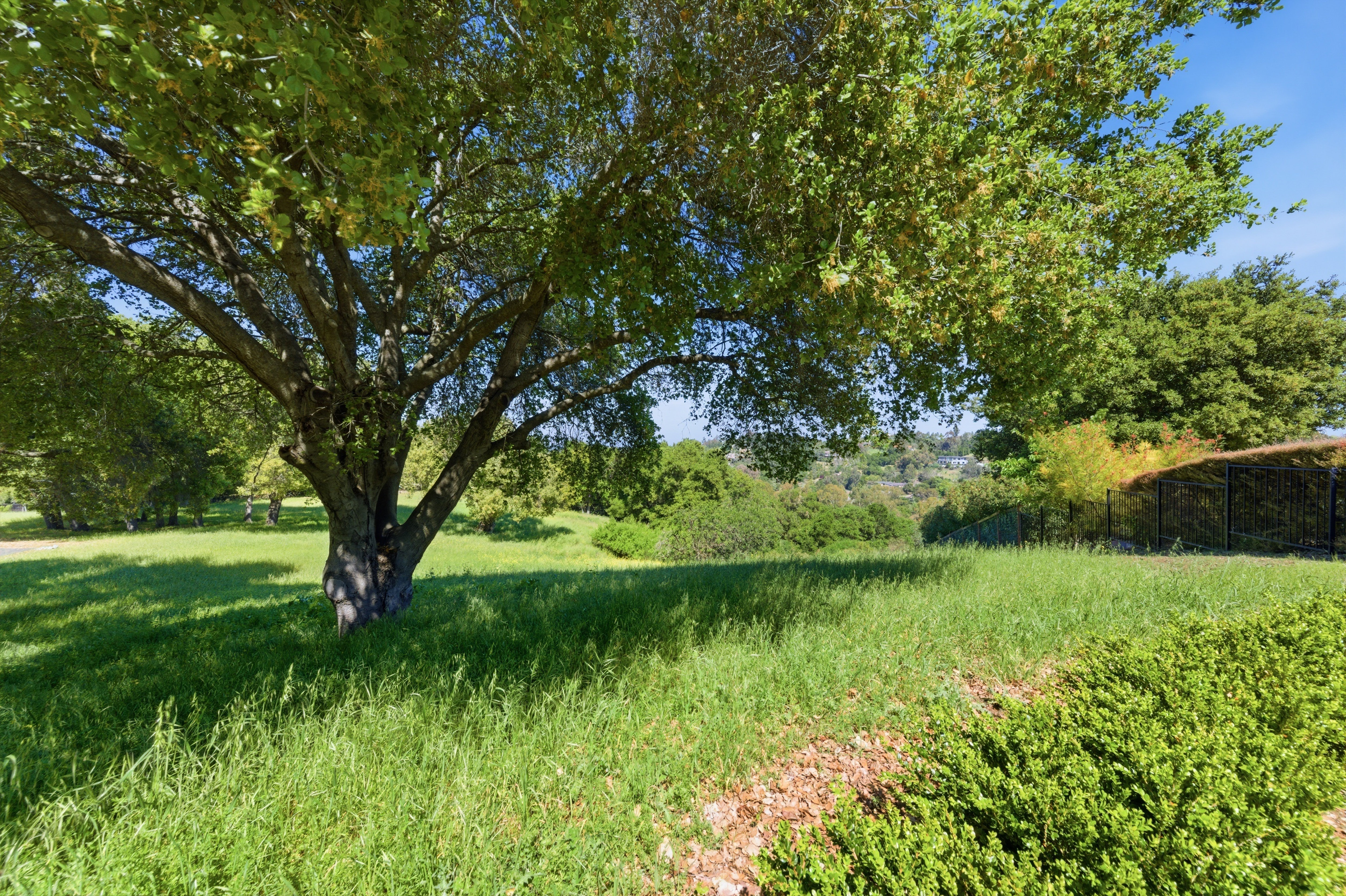  More Than 2.7 Acres of Privacy and Potential with Palo Alto Schools - 物件實景