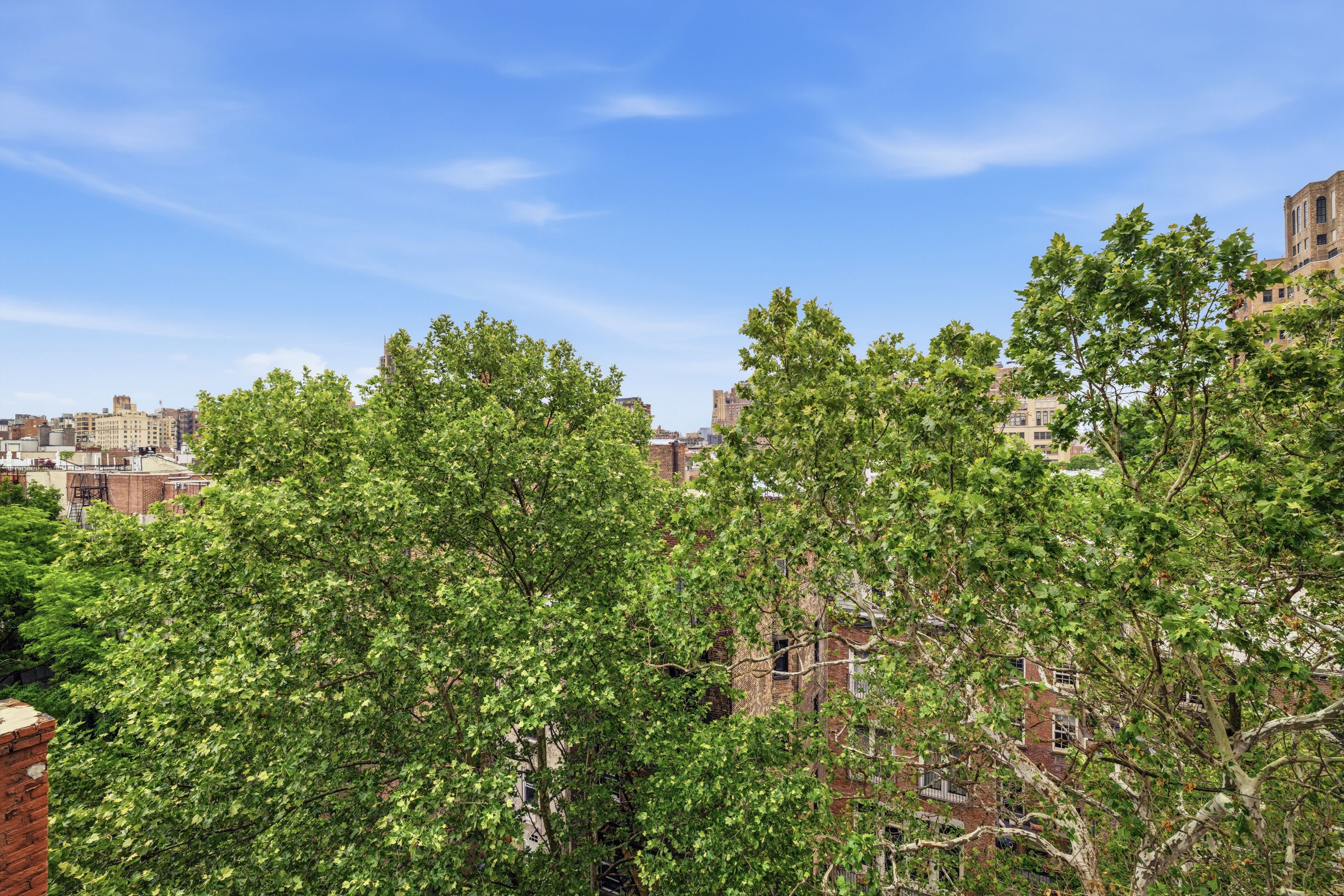  Mint Bright Elegant 2 Bed/1 Bath with W/D - 物件實景