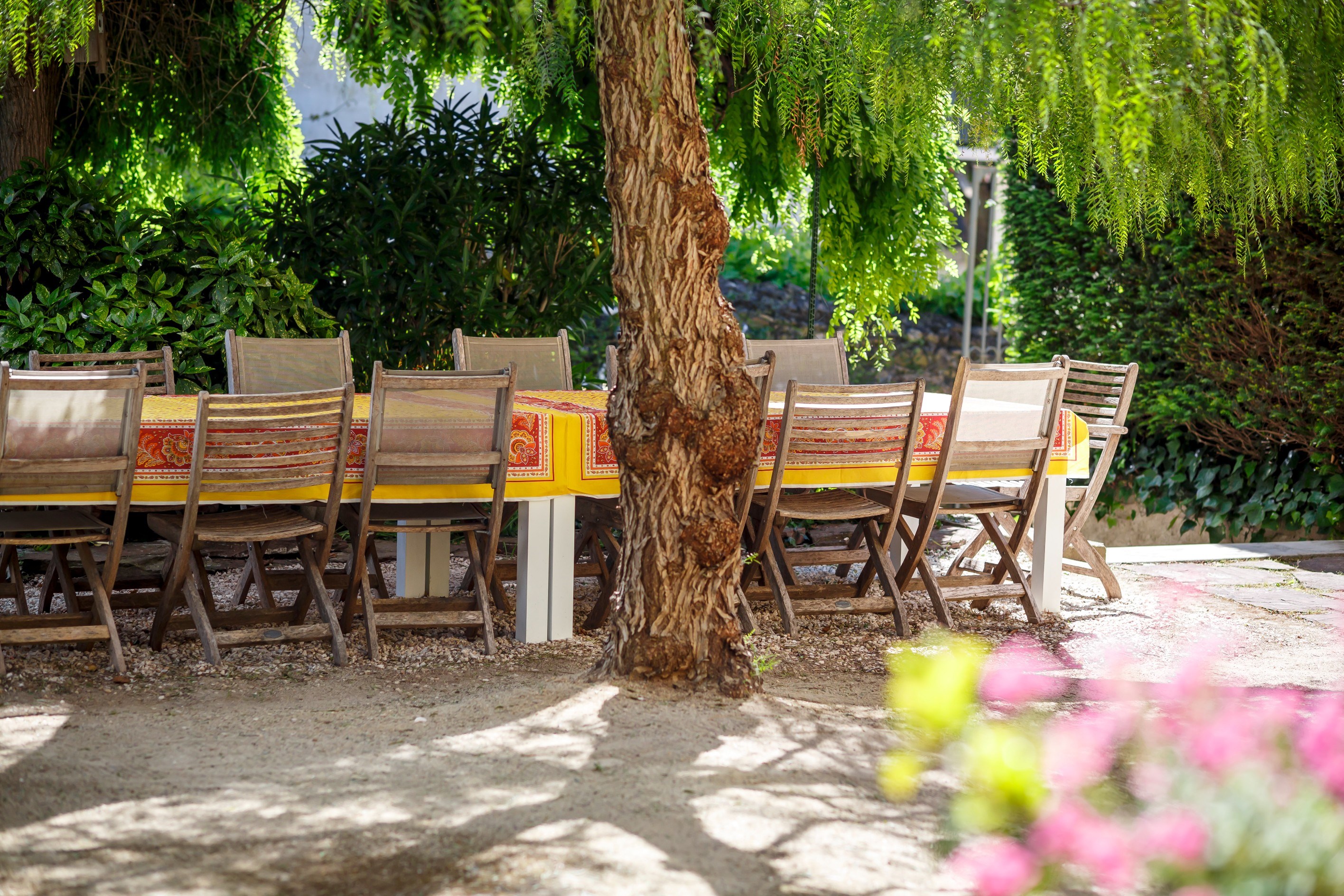  Elegant Maison Bourgeoise with Proven Hospitality Income in Murviel Les Beziers - 物件實景