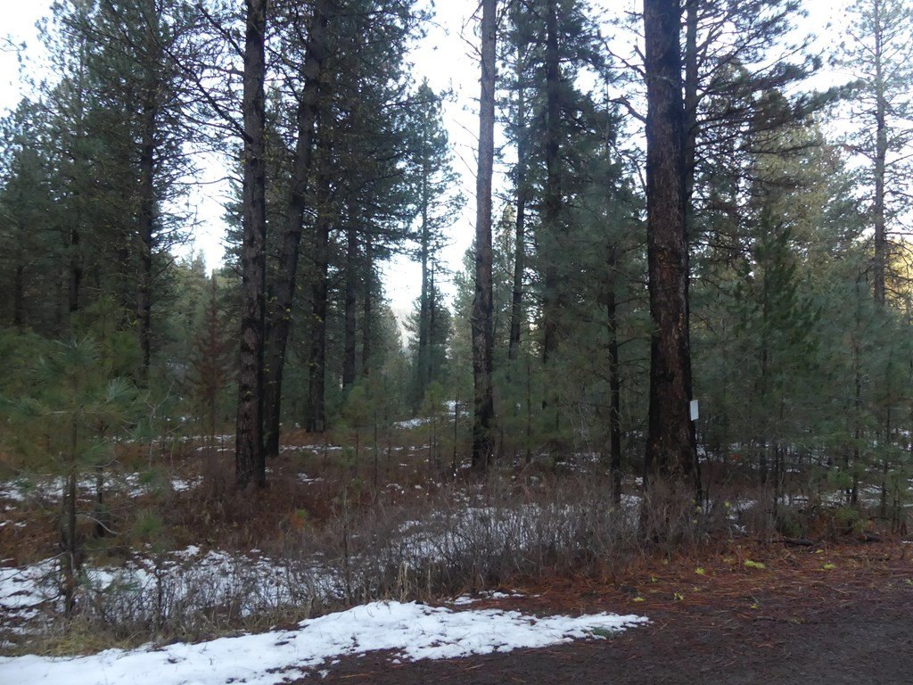 New Meadows, Idaho, 83654, United States, ,Land,For Sale,2005639