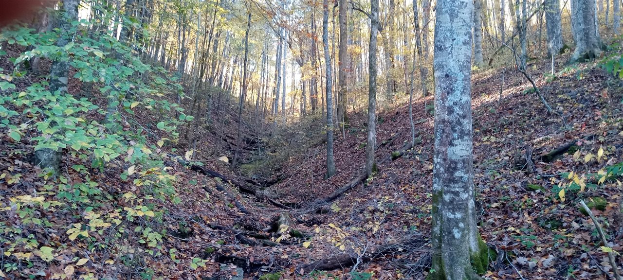 Willow Shade, Kentucky, 42166, United States, 3 Bedrooms Bedrooms, ,2 BathroomsBathrooms,Residential,For Sale,1991903