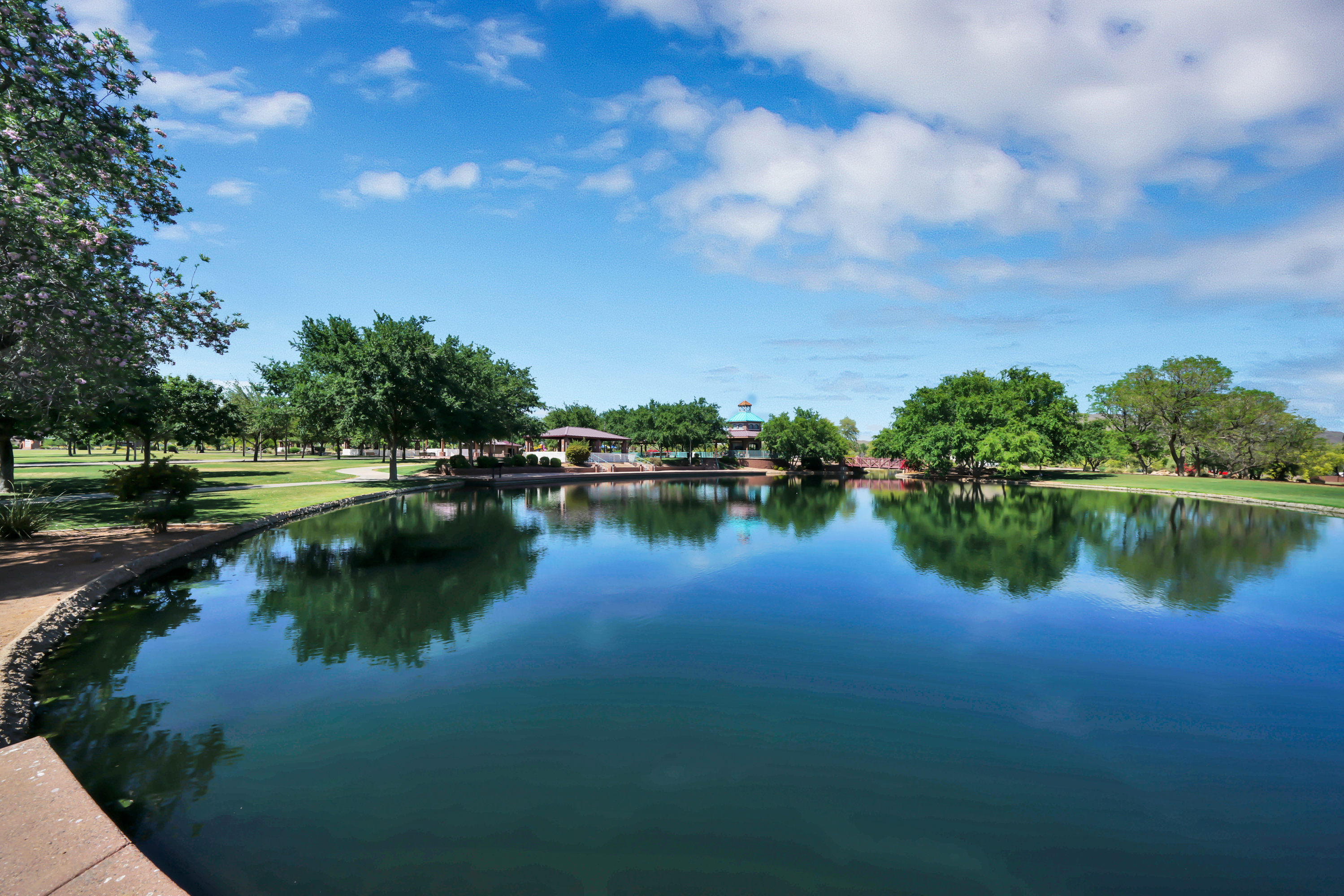  42408 N Astoria Way ¦Anthem, AZ - 物件實景