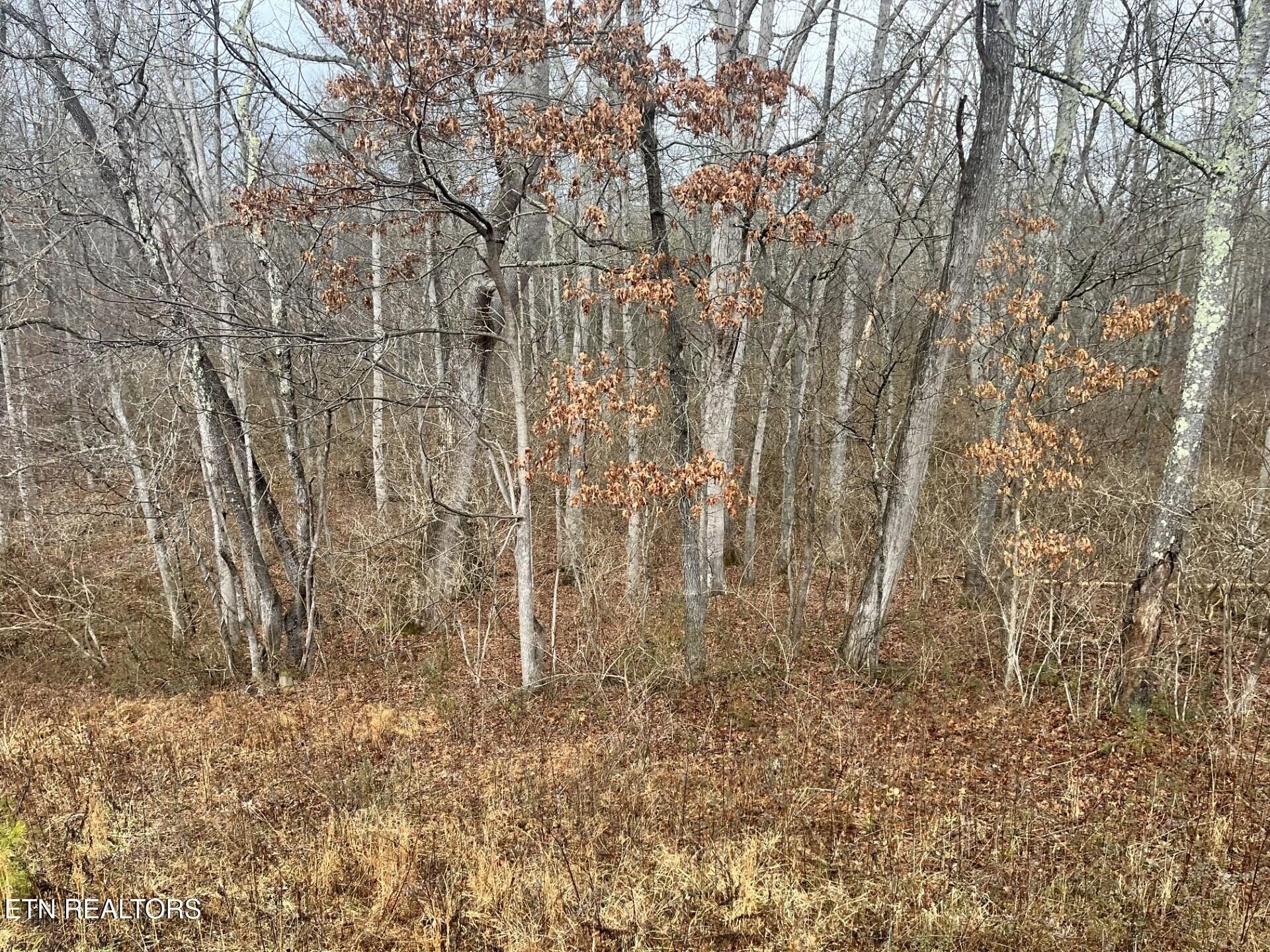 Crossville, Tennessee, 38555, United States, ,Land,For Sale,1982982