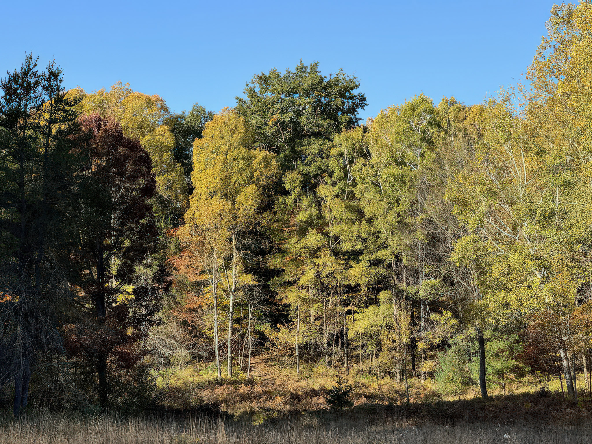 Branch, Michigan, 49402, United States, 1 Bedroom Bedrooms, ,1 BathroomBathrooms,Residential,For Sale,2001233