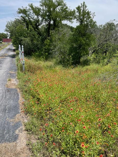 Fort Worth, Texas, 76179, United States, 4 Bedrooms Bedrooms, ,2 BathroomsBathrooms,Residential,For Sale,1993877