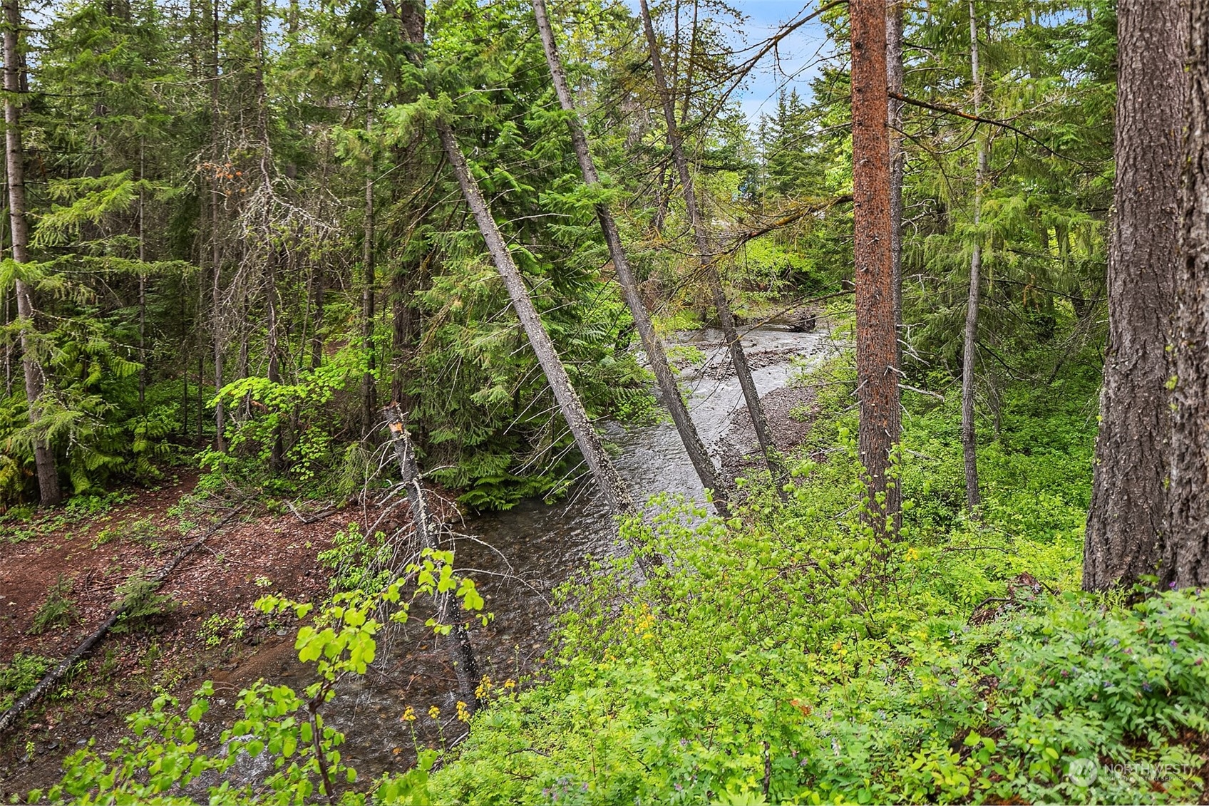 Easton, Washington, 98925, United States, 3 Bedrooms Bedrooms, ,3 BathroomsBathrooms,Residential,For Sale,1912346