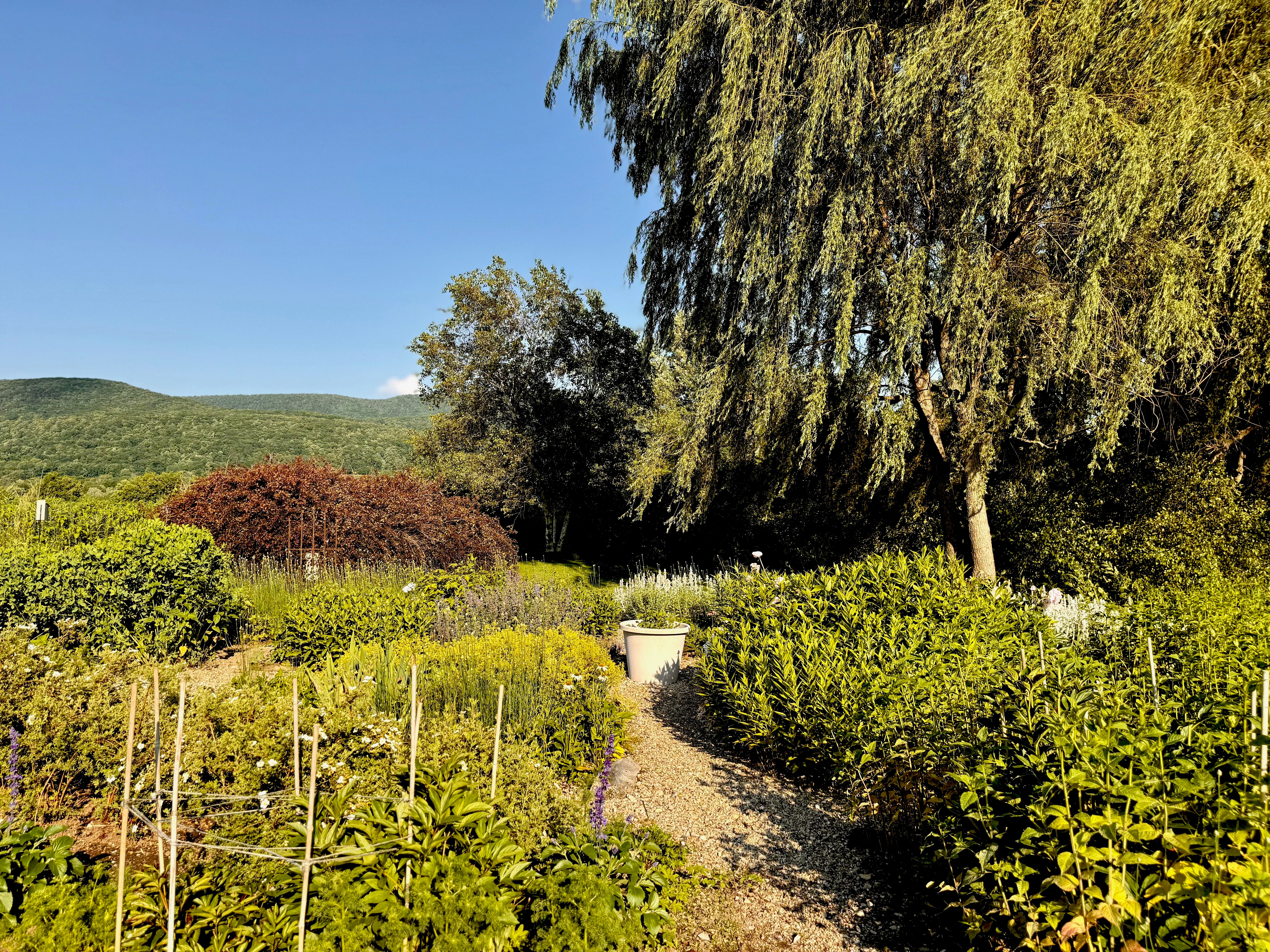  110 County Route 7A, Copake, NY 12516 - 物件實景
