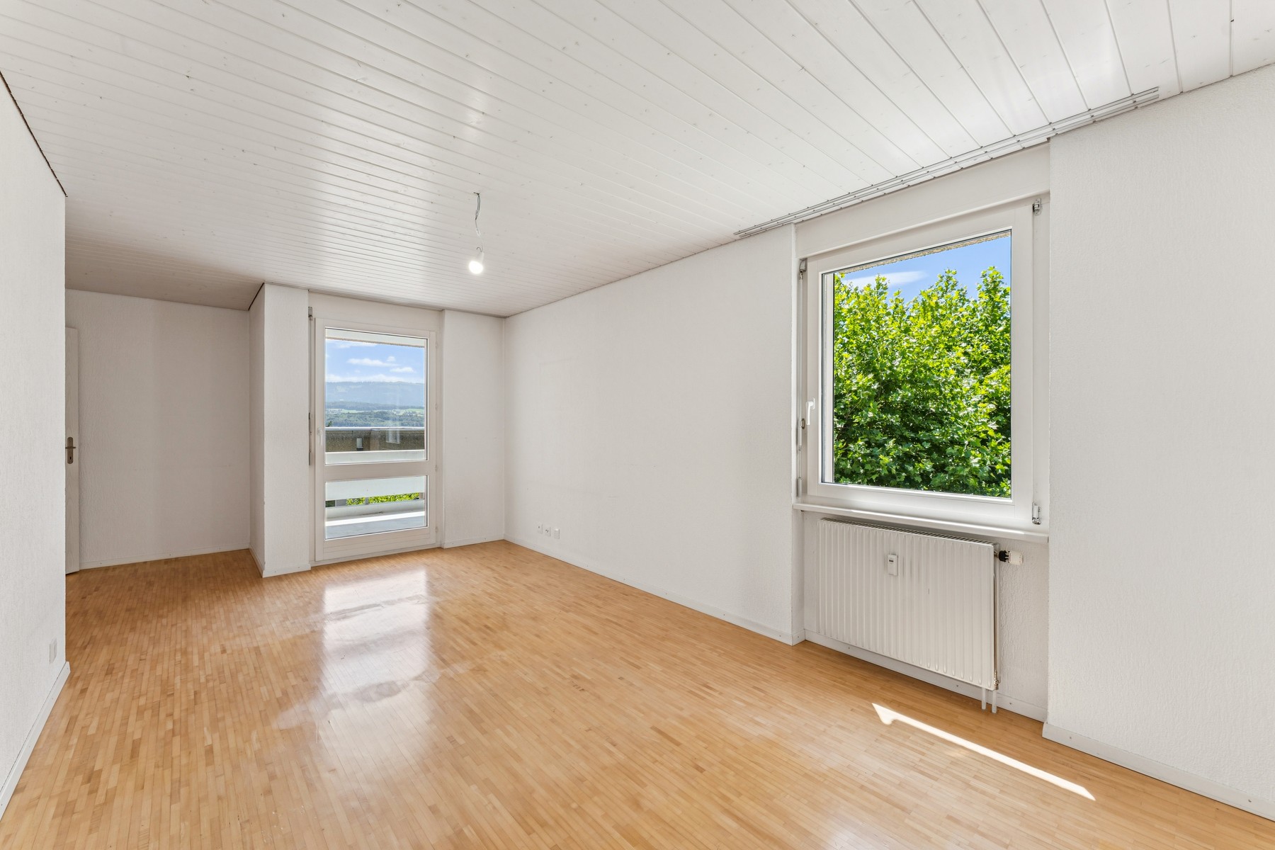  4.5-room apartment with 2 balconies - 物件實景