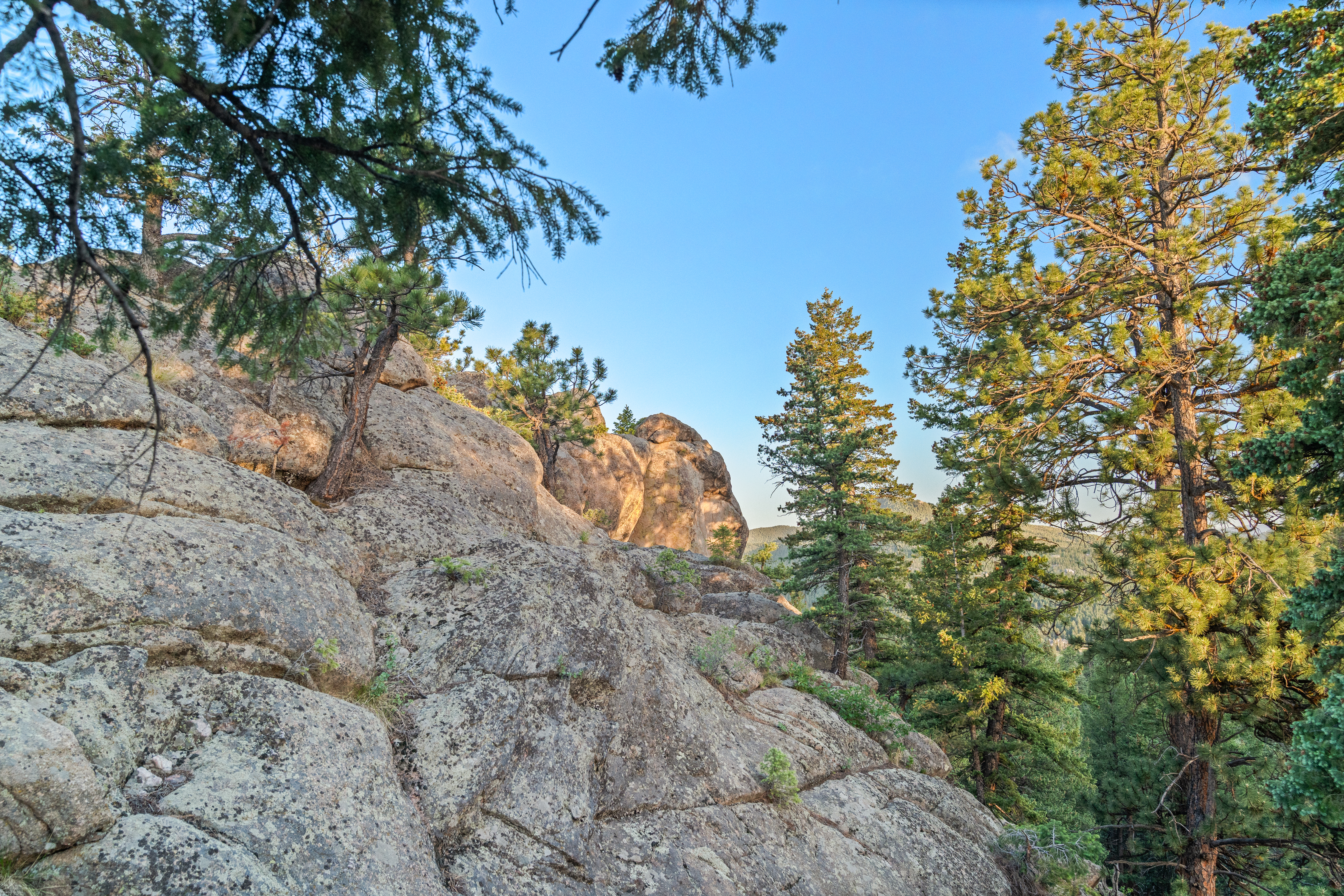  Acreage Available in Evergreen