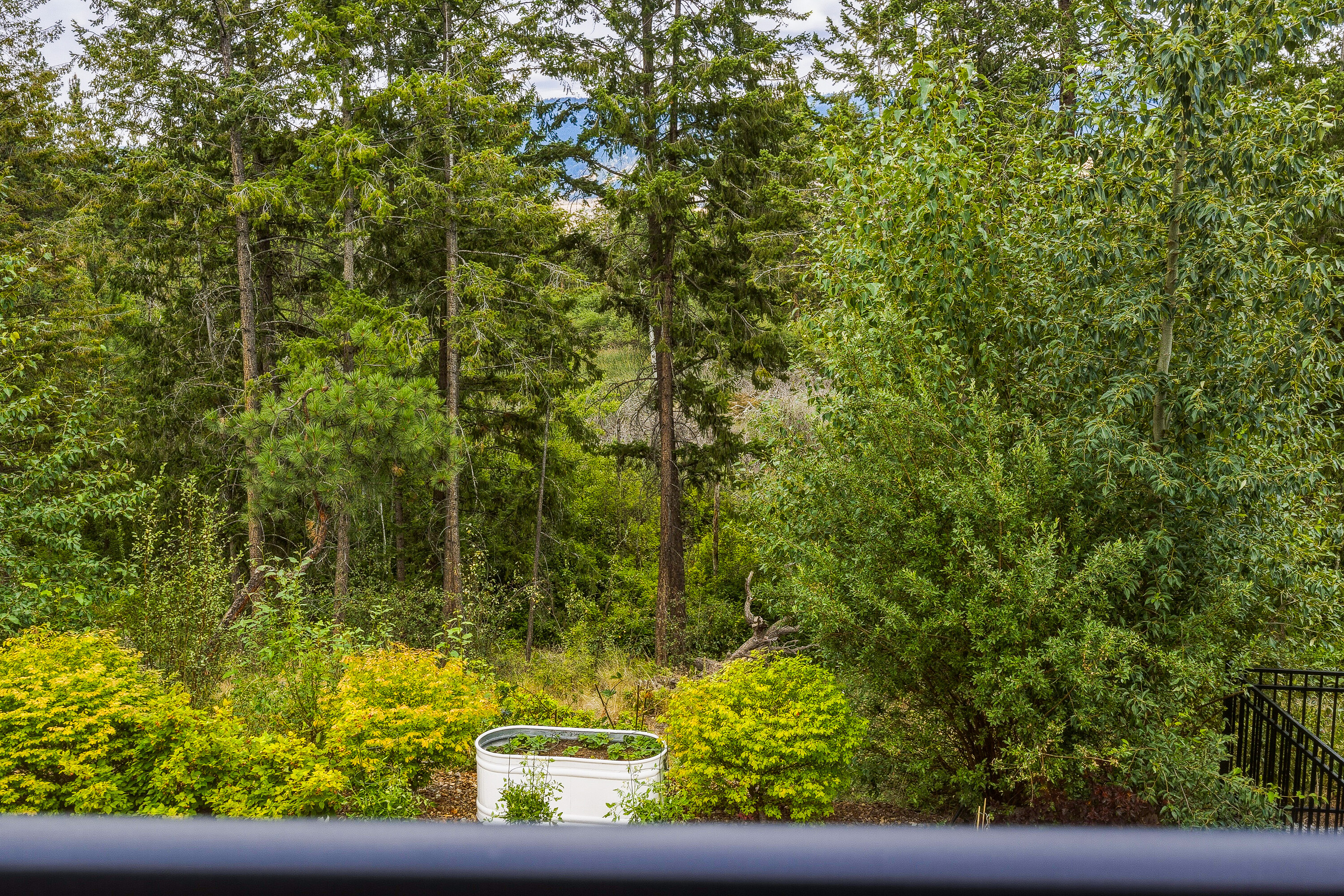  Walkout Rancher in Lakestone - 物件實景