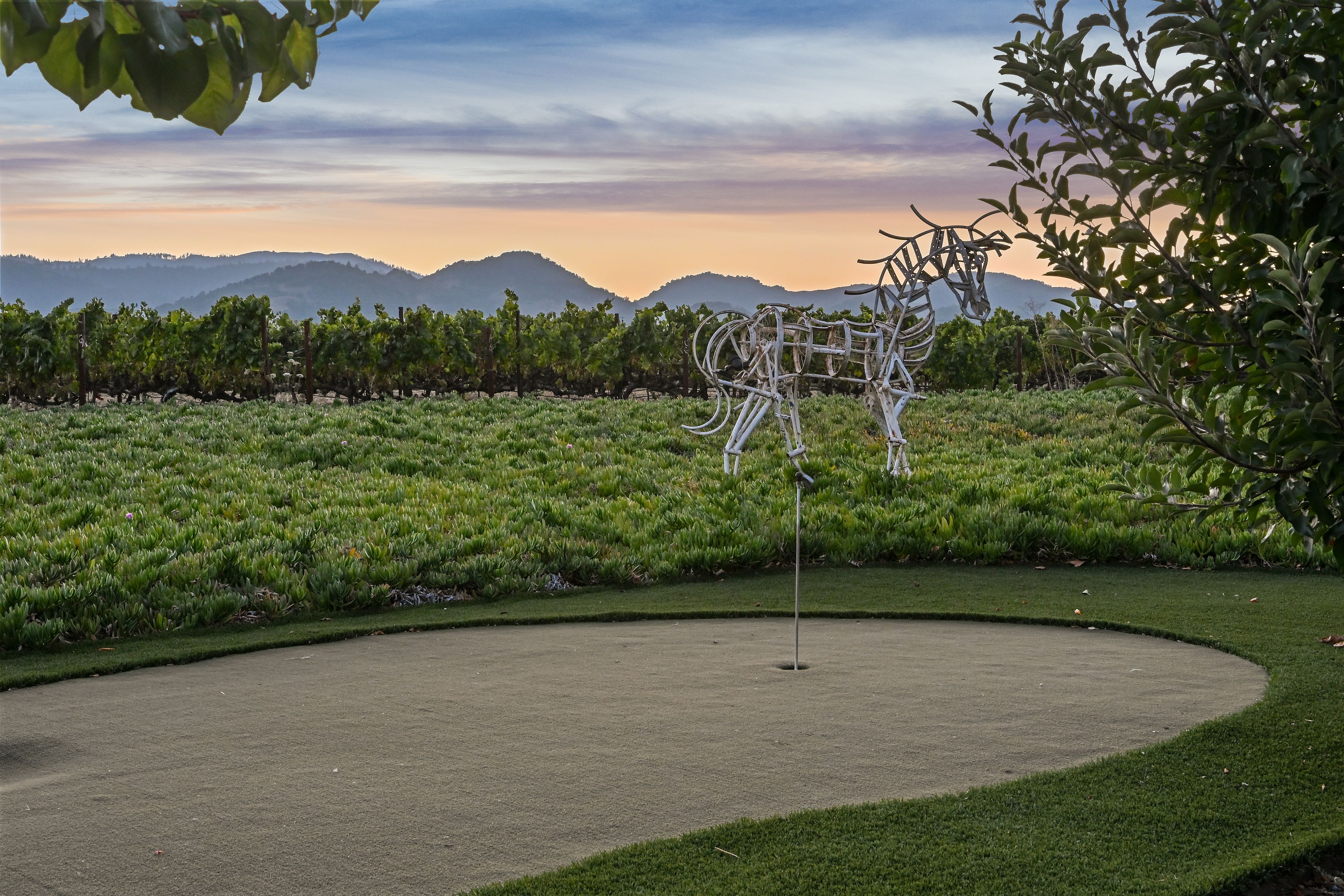 Extraordinary Napa Valley Estate - 物件實景