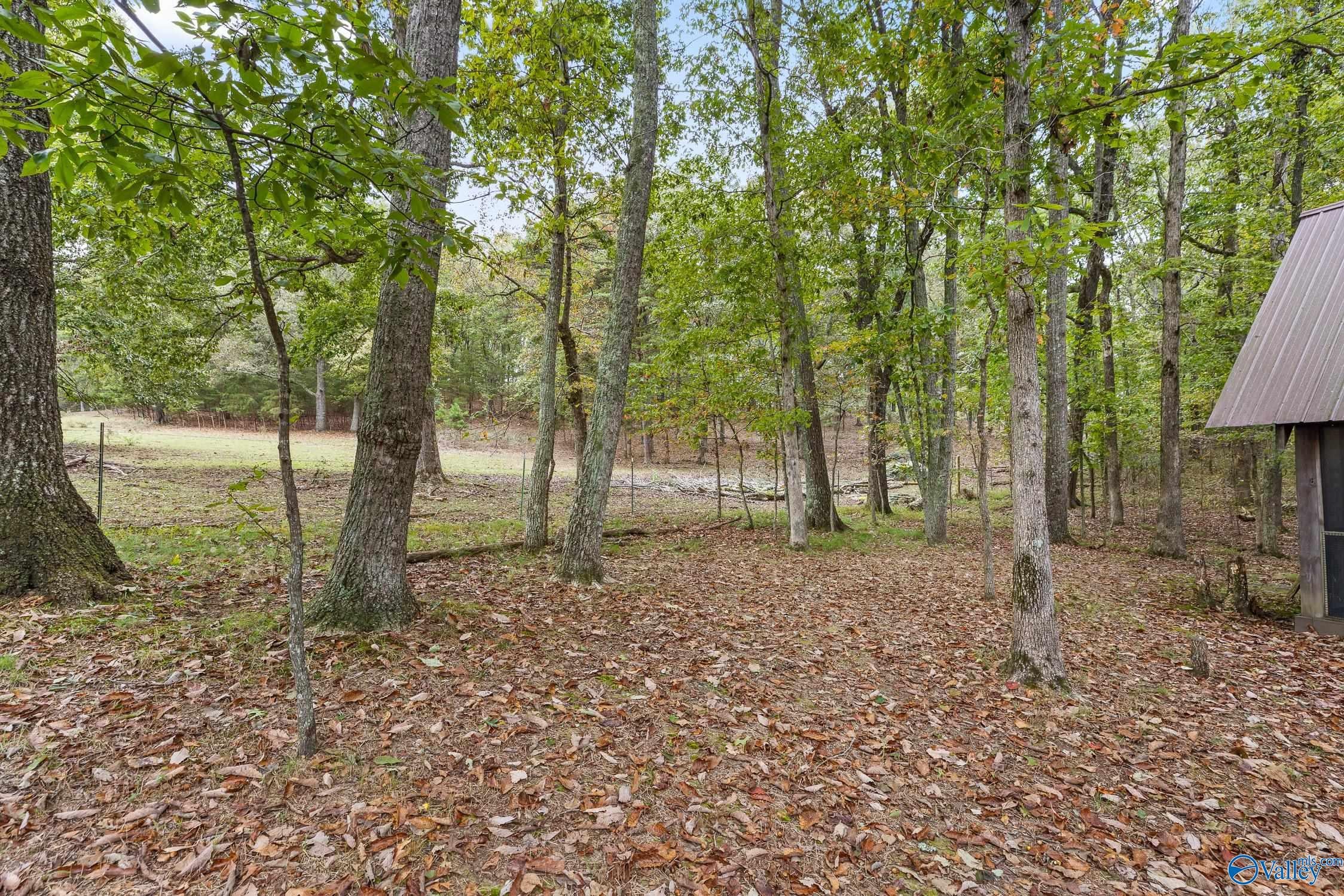 Mentone, Alabama, 35984, United States, 3 Bedrooms Bedrooms, ,1 BathroomBathrooms,Residential,For Sale,1978714