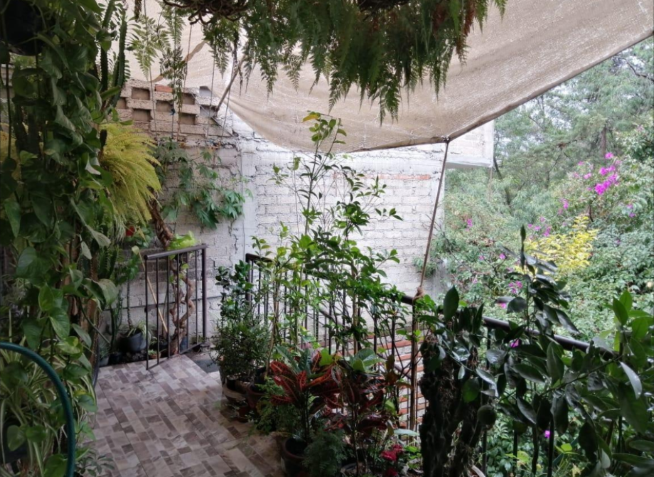 Álvaro Obregón, Ciudad de México, 01759, Mexico, 6 Bedrooms Bedrooms, ,4 BathroomsBathrooms,Residential,For Sale,1723771