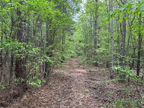Naples, Texas, 75568, United States, ,Land,For Sale,1786234