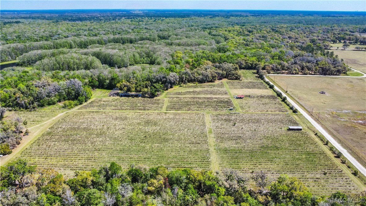 Inverness, Florida, 34450, United States, 3 Bedrooms Bedrooms, ,2 BathroomsBathrooms,Residential,For Sale,1881074