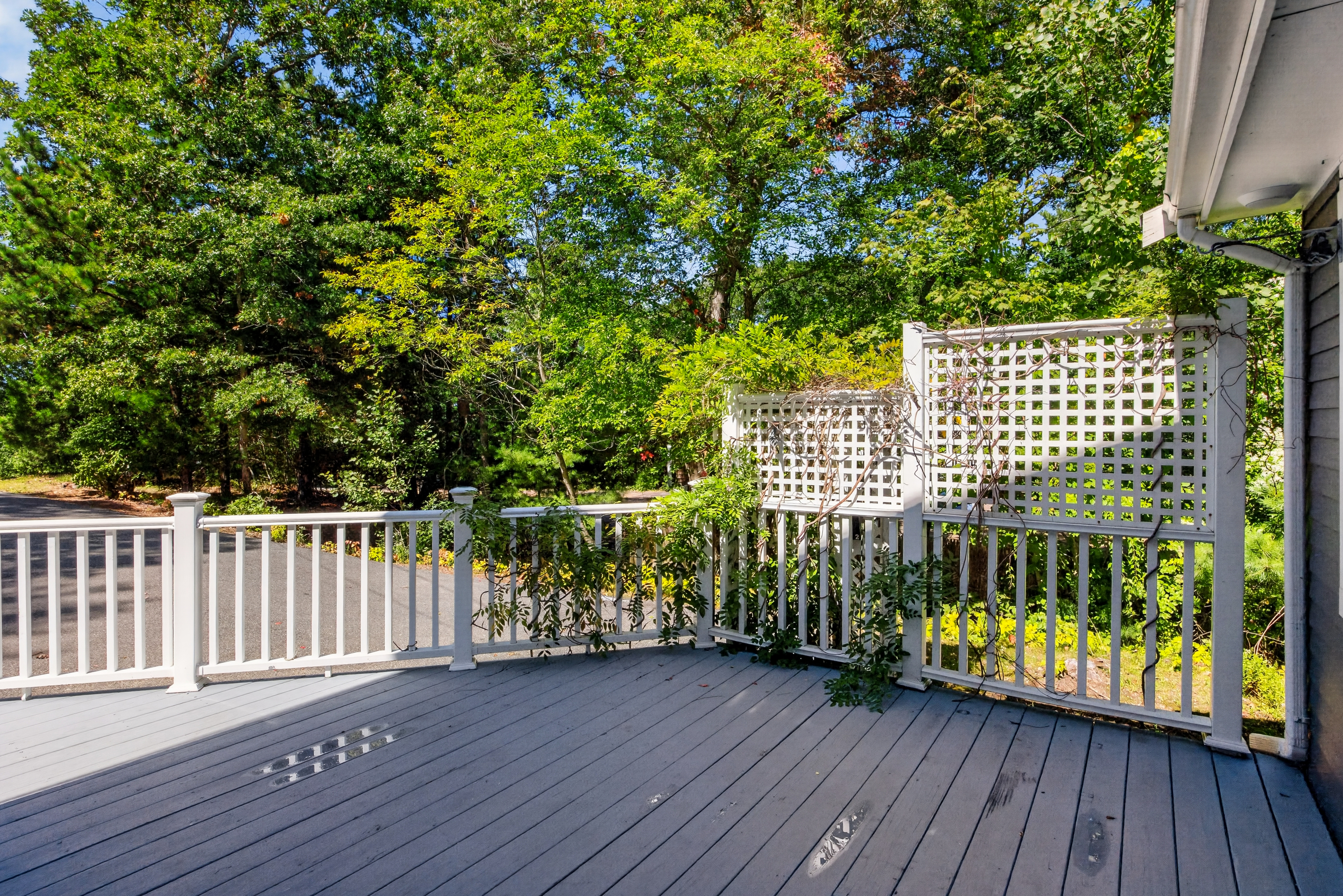  1 Seneca Lane, Plymouth, MA, 02360 - 物件實景