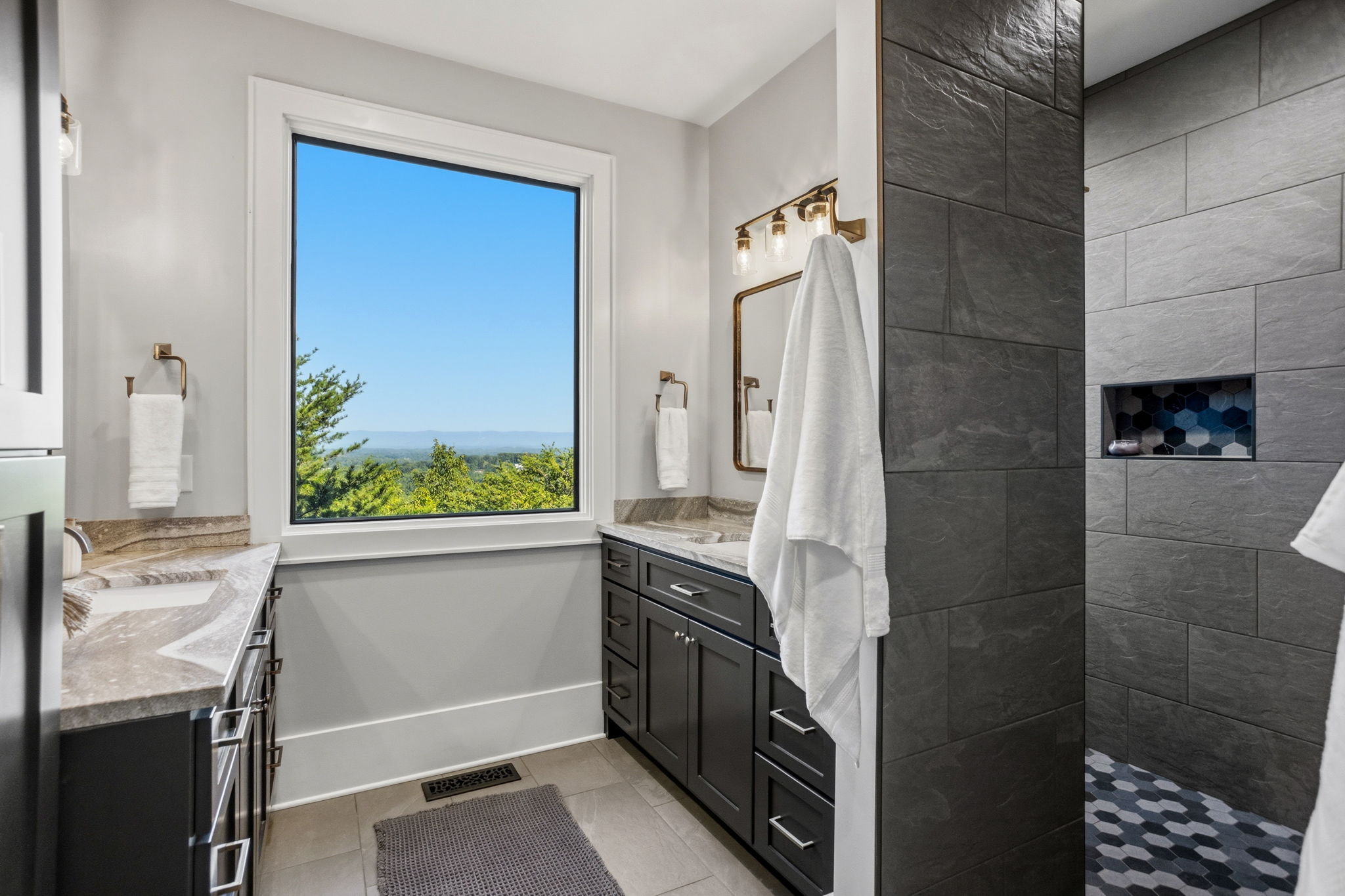  101 Frangipani Way, Greenville, SC 29609 - 物件實景