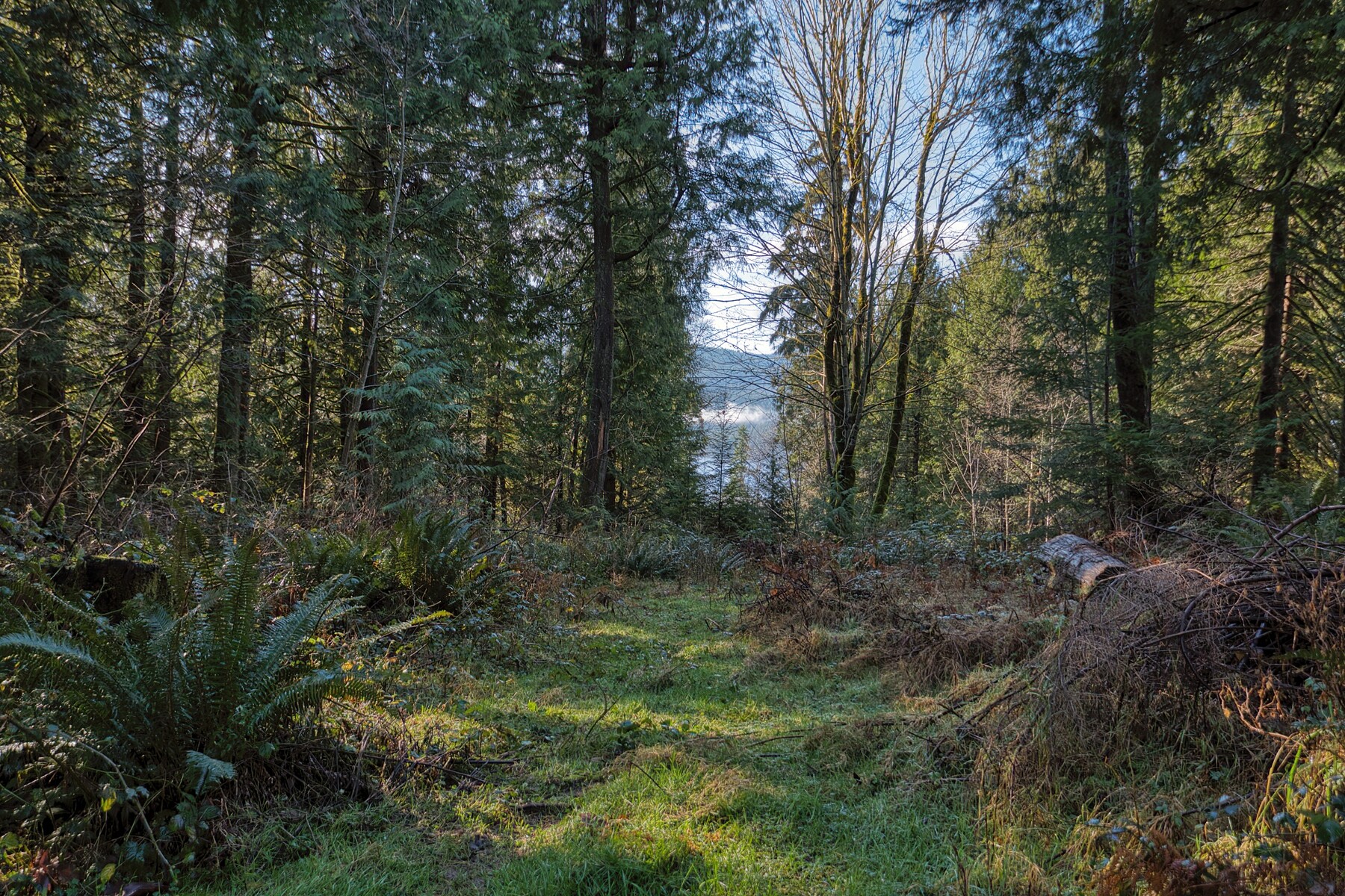  Sechelt, Sunshine Coast - 物件實景