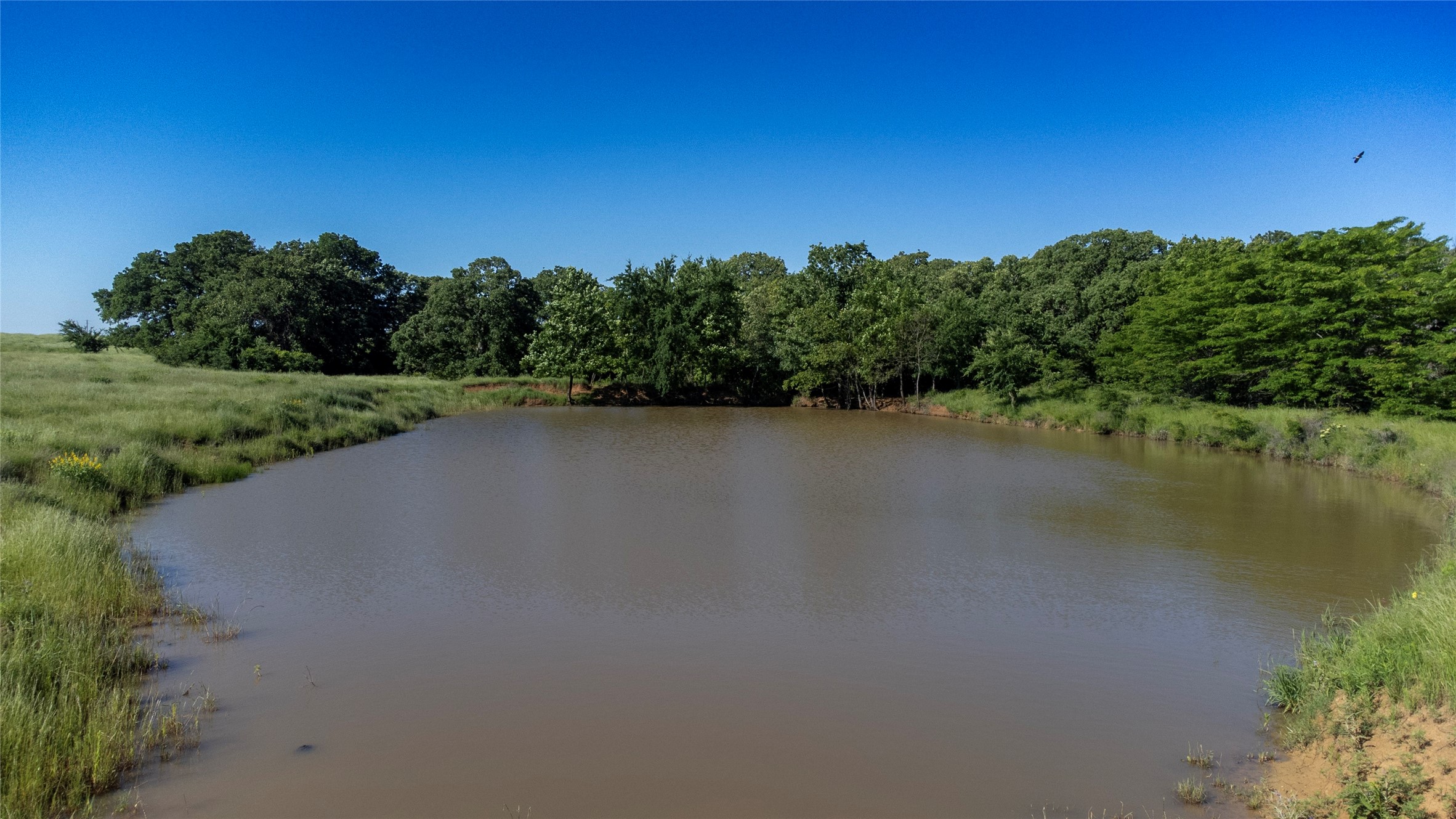 Sadler, Texas, 76264, United States, ,Land,For Sale,1837426