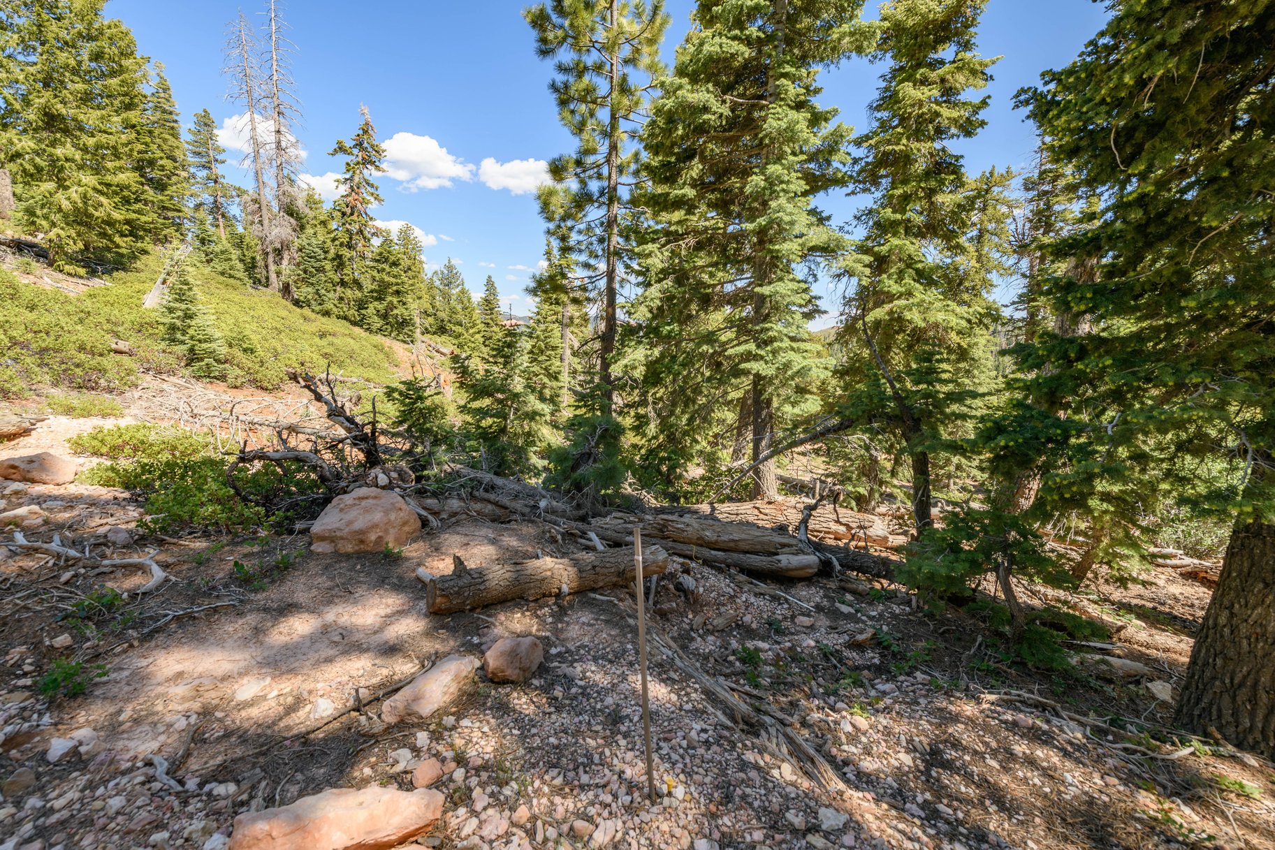  Quiet Mountain Retreat Near Navajo Lake - 物件實景