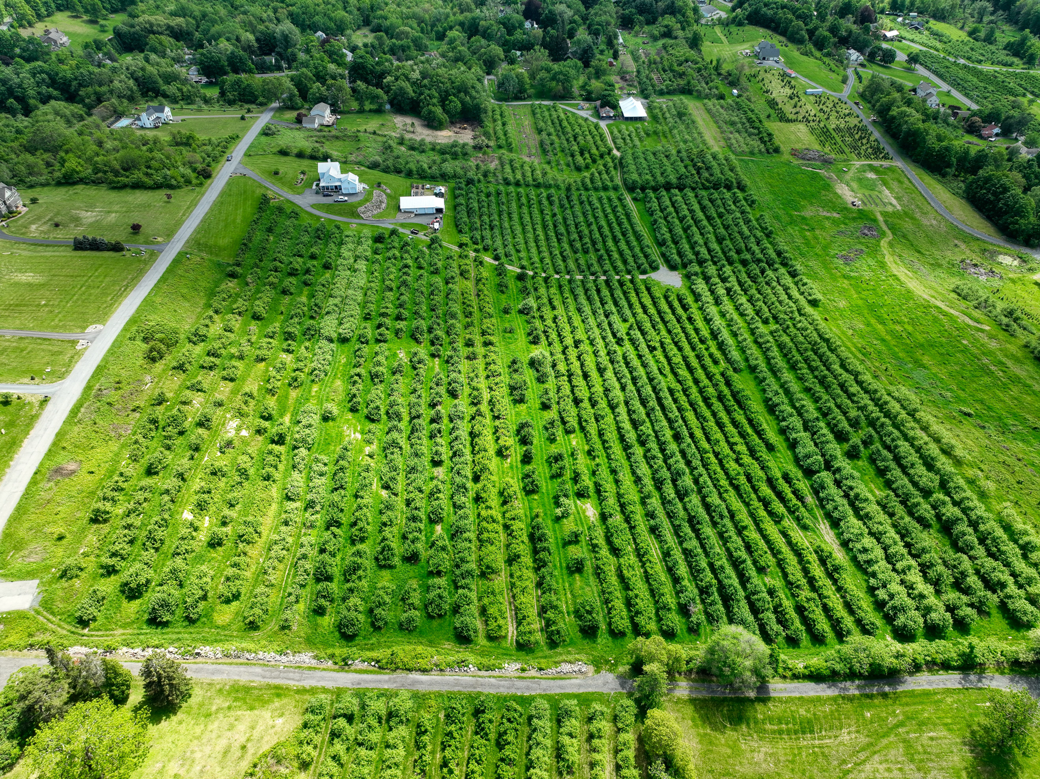  75 Palazzo Lane, Highland, NY 12528 - 物件實景