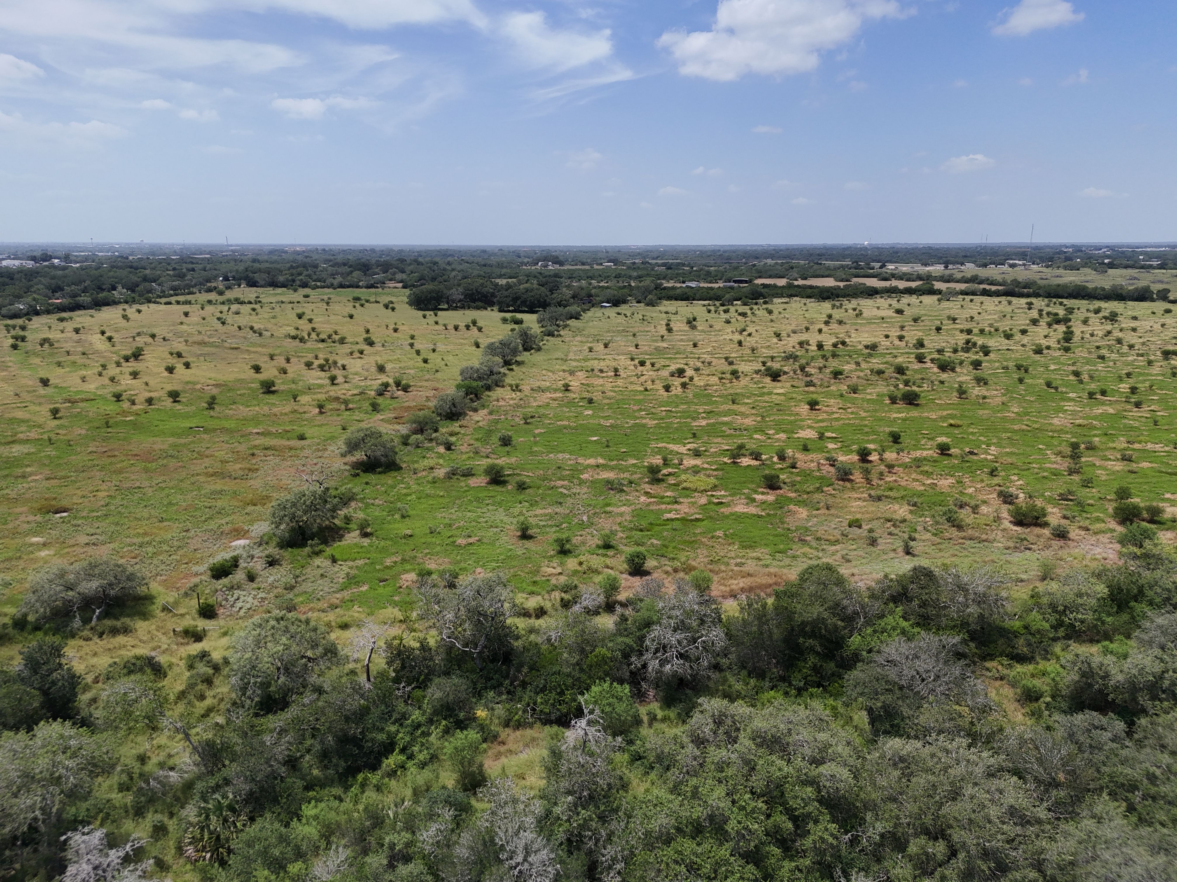  Old Houston Ranch, Bee County - 物件實景