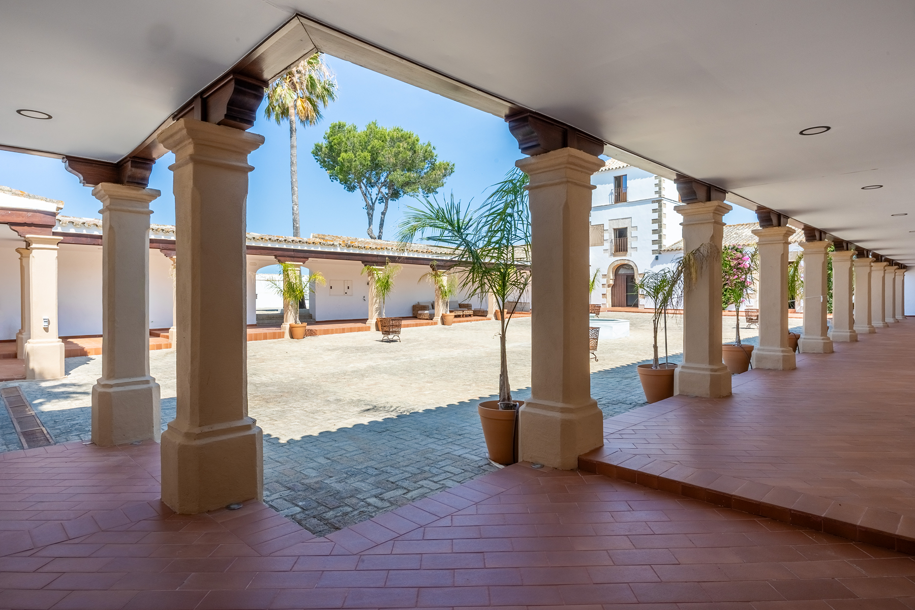 Cortijo with pool and vineyard in El Puerto de Santa María - 物件實景