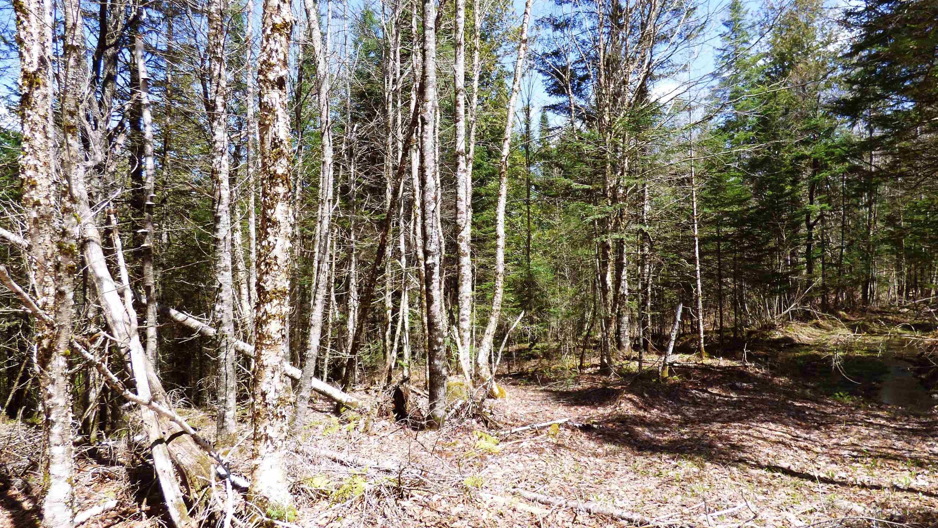 Wheelock, Vermont, 05851, United States, ,Land,For Sale,2017669