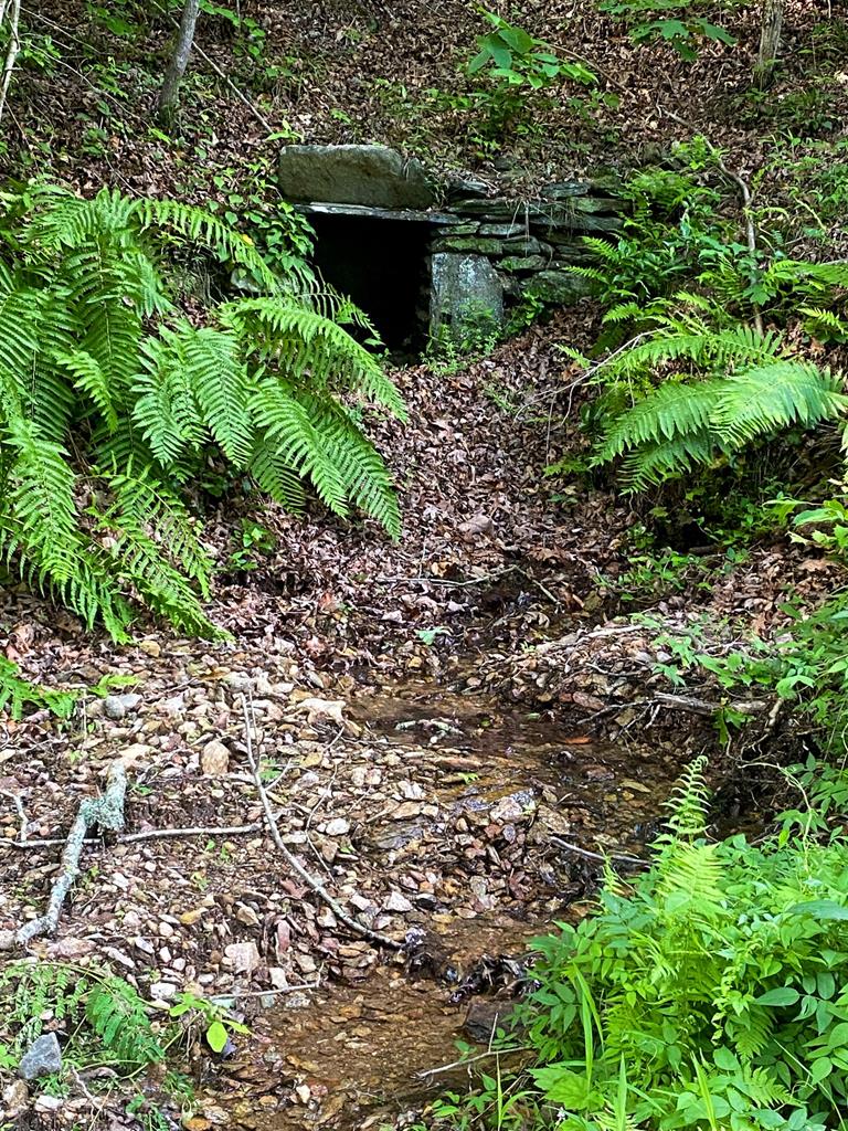 Ellijay, Georgia, 30536, United States, 5 Bedrooms Bedrooms, ,3 BathroomsBathrooms,Residential,For Sale,1982732