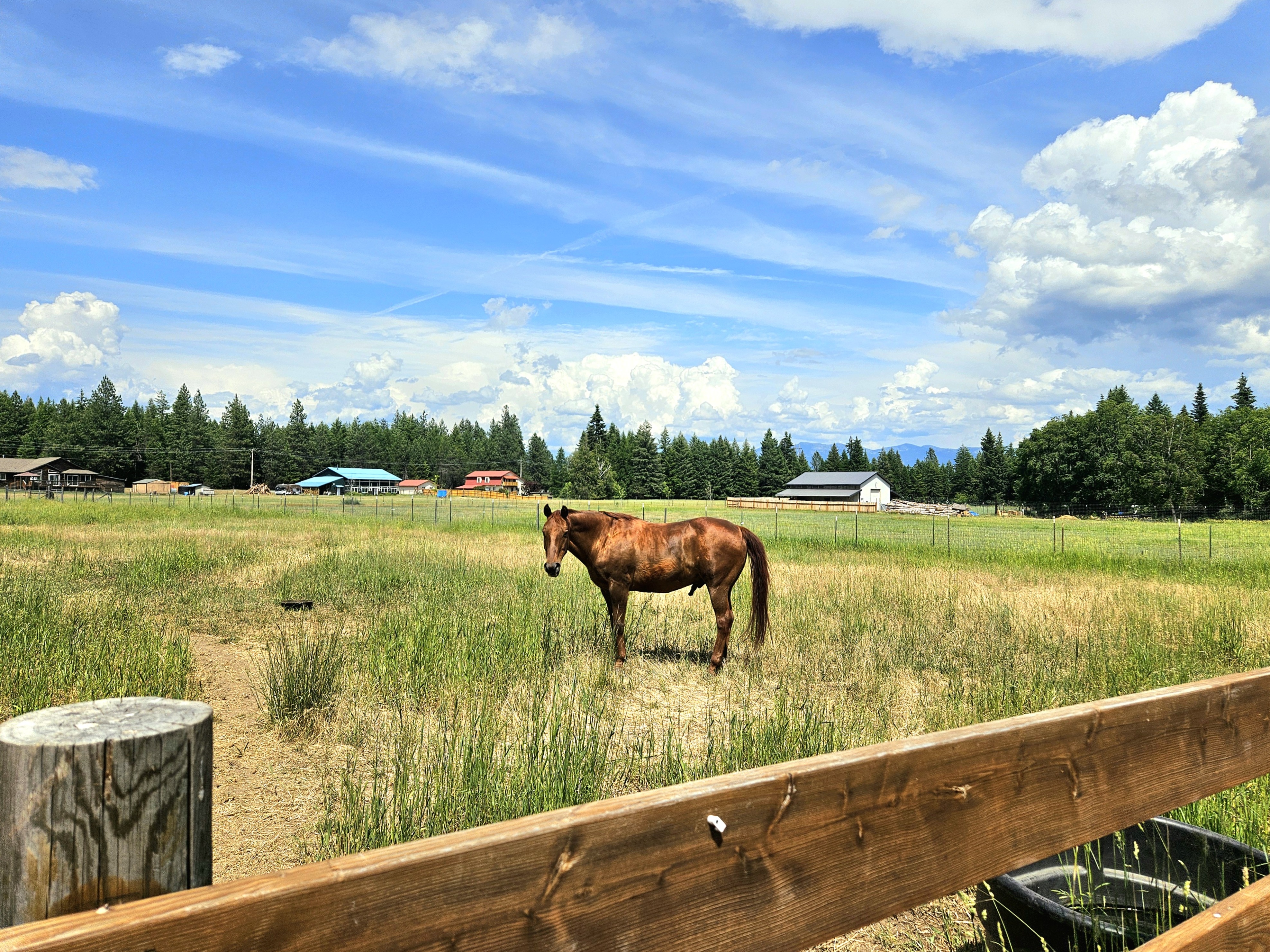 Bonners Ferry, Idaho, 83805, United States, 3 Bedrooms Bedrooms, ,2 BathroomsBathrooms,Residential,For Sale,1921279