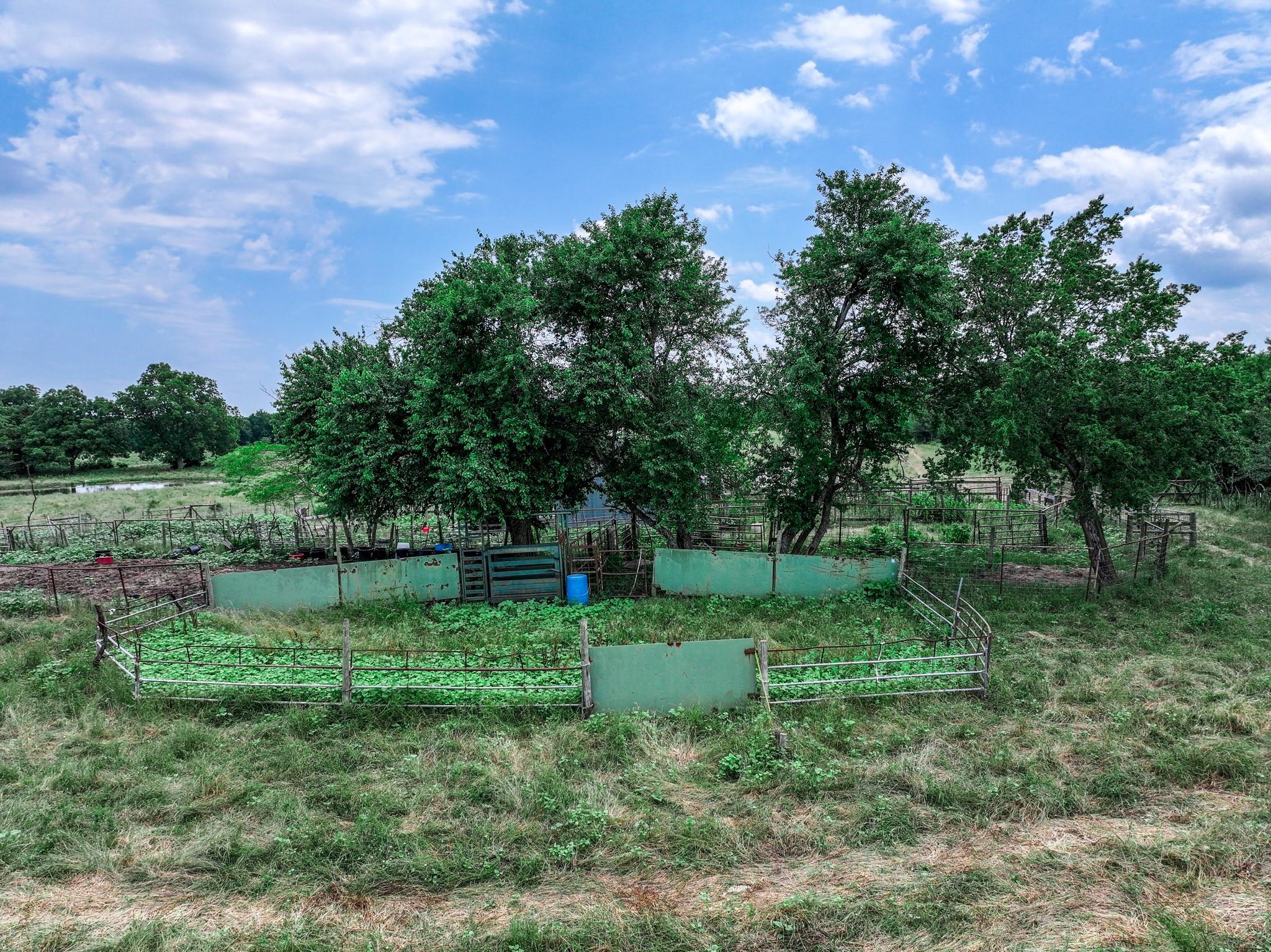 Commerce, Texas, 75428, United States, ,Land,For Sale,1980085