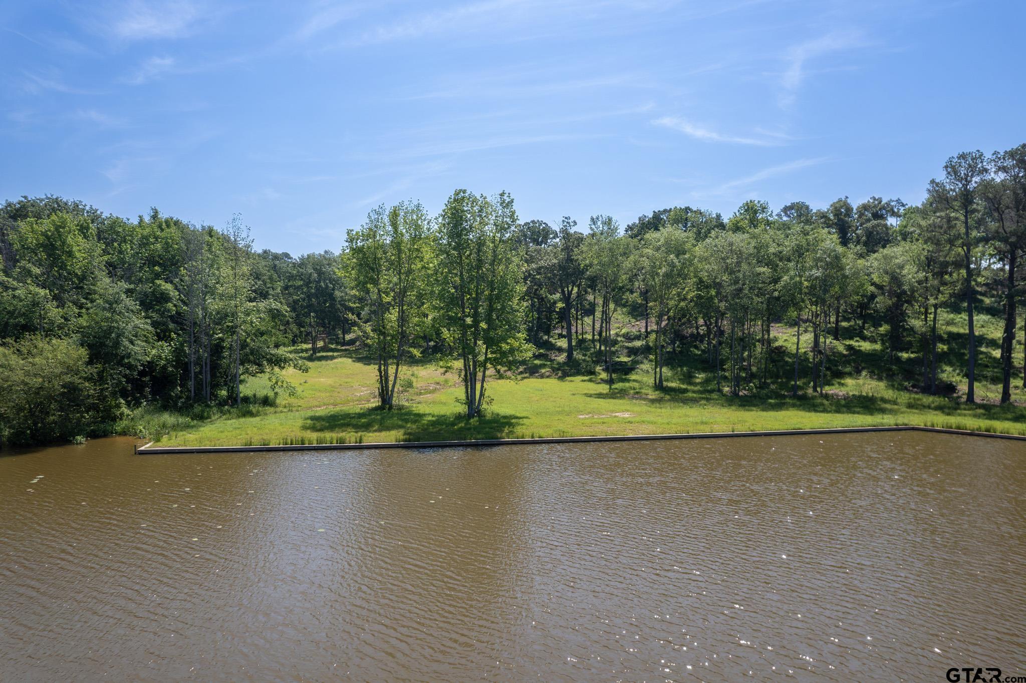 Leesburg, Texas, 75451, United States, ,Land,For Sale,1975704