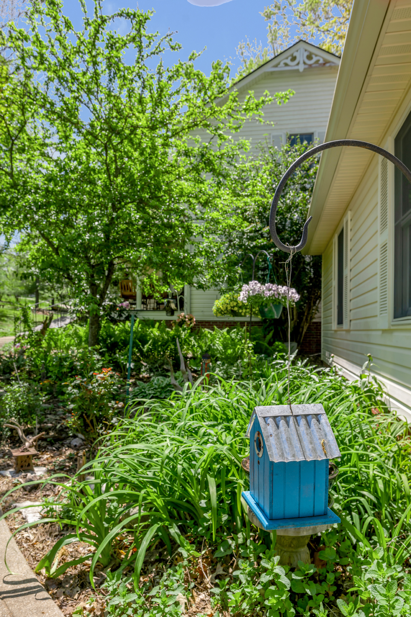  186 Hunter Drive - 物件實景