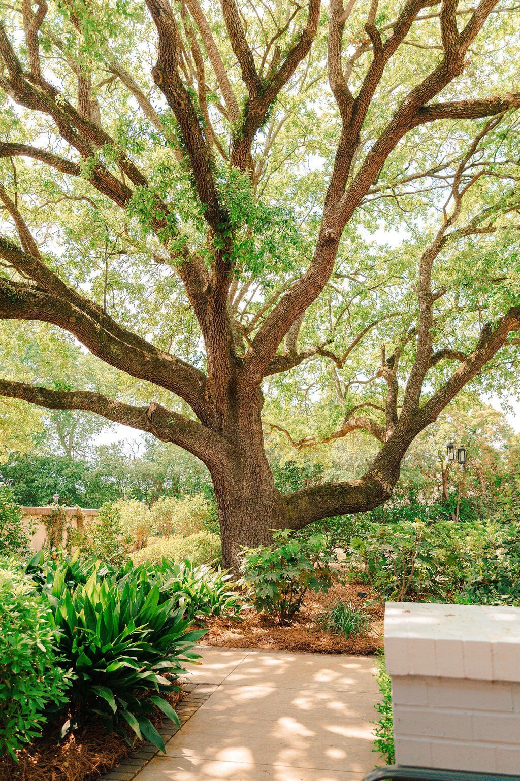 Sumter, South Carolina, 29150, United States, 4 Bedrooms Bedrooms, ,4 BathroomsBathrooms,Residential,For Sale,2005163