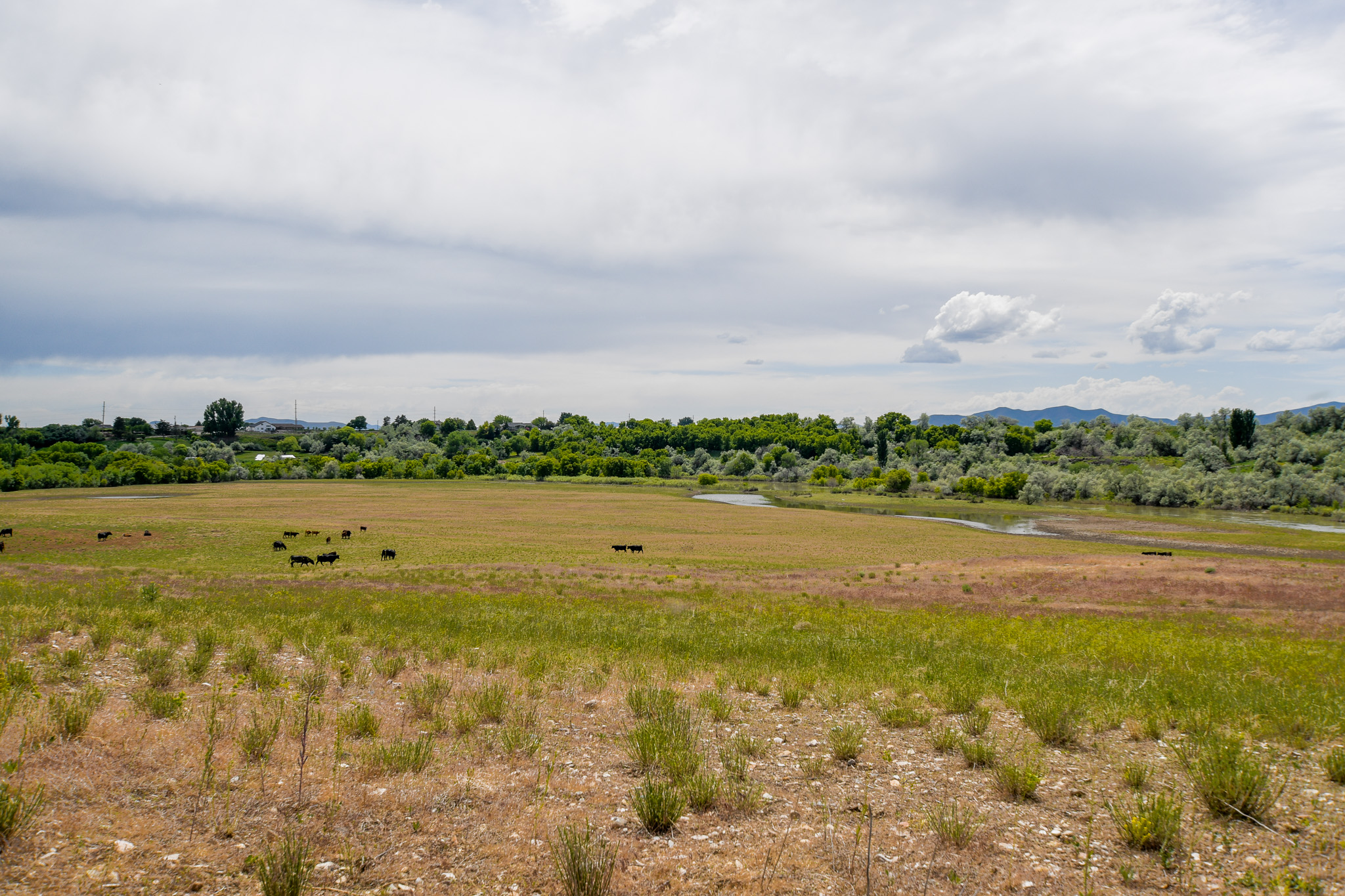 Deweyville, Utah, 84309, United States, ,Land,For Sale,1848401