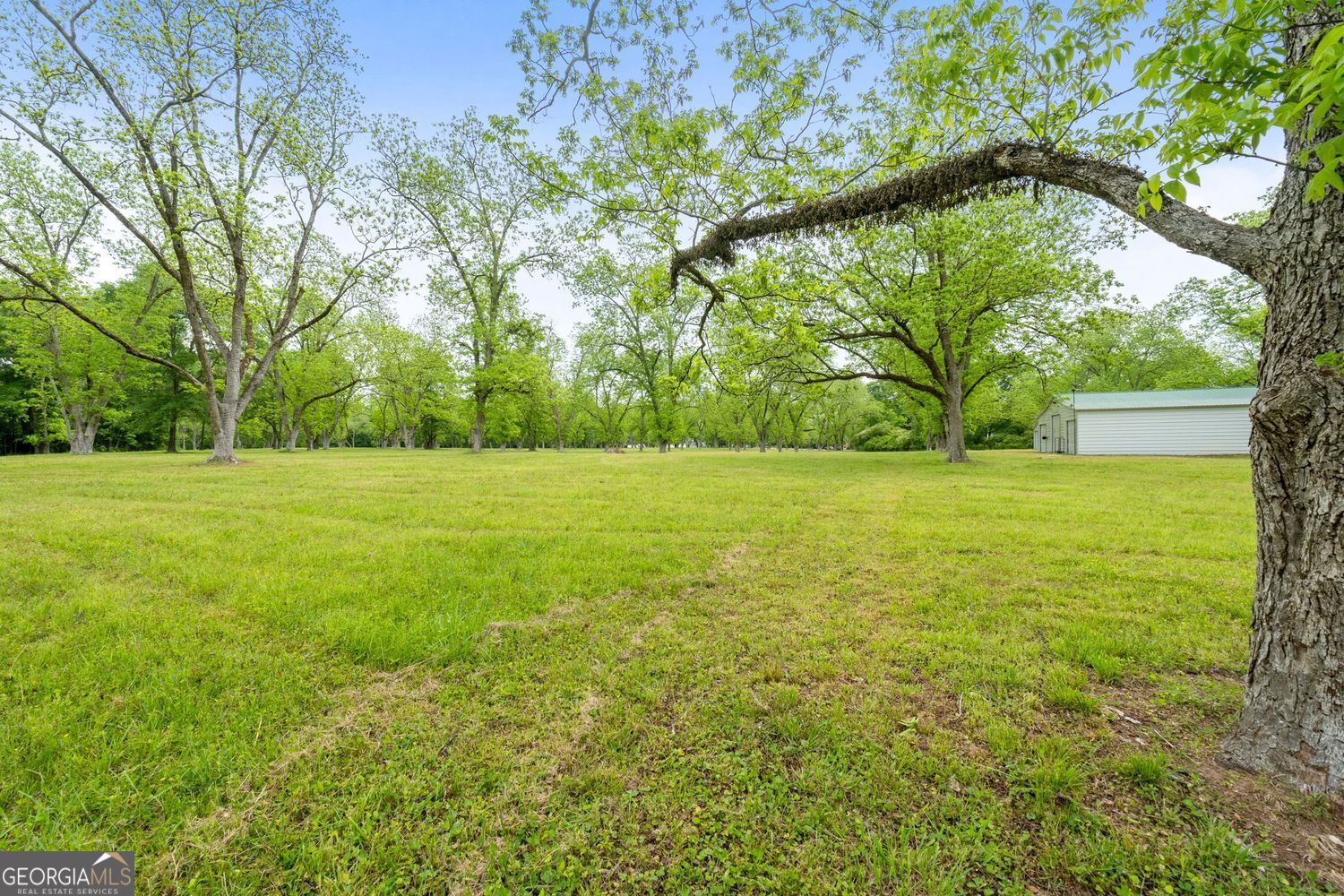 Milner, Georgia, 30257, United States, ,Land,For Sale,1859026