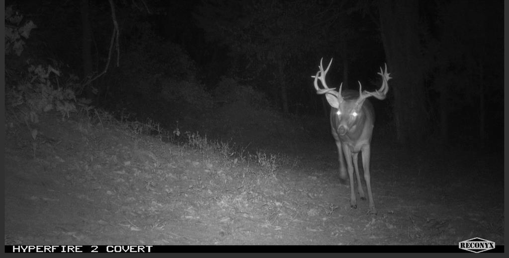 Goldsby, Oklahoma, 73093, United States, ,Land,For Sale,1976317